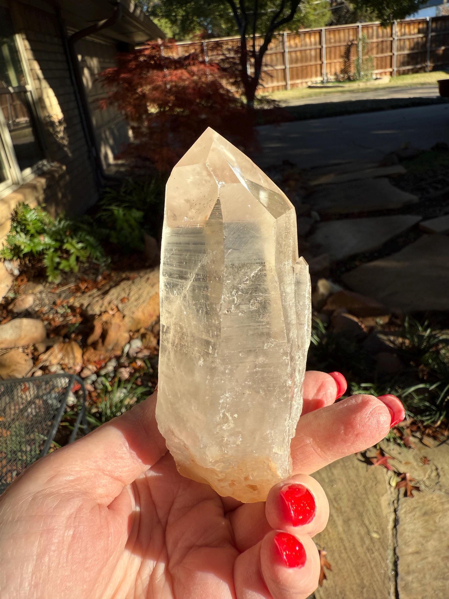 Rare Record Keeper Gold Lemurian, new, high quality, 4.25”, crystal healing, gift