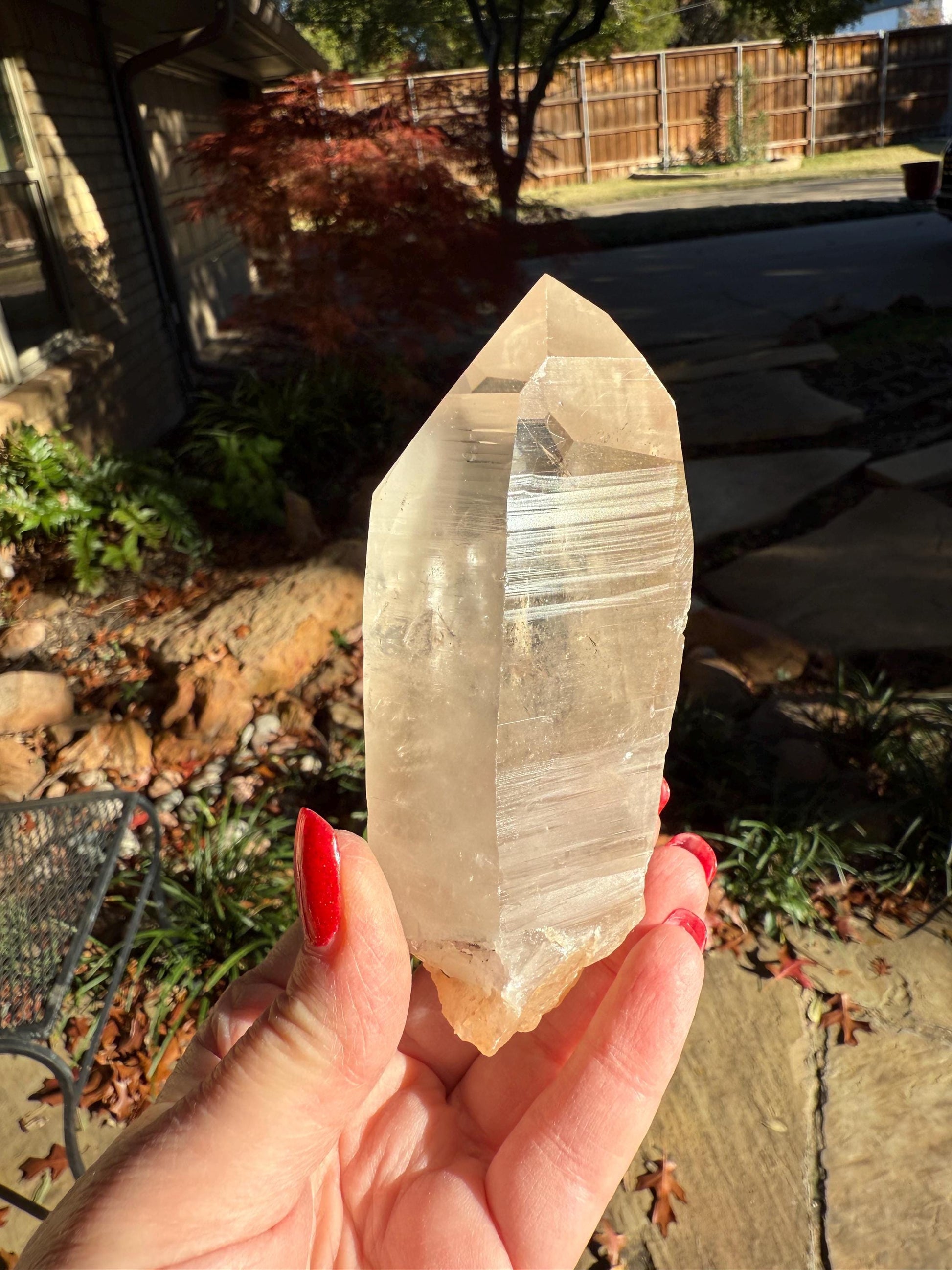 Rare Record Keeper Gold Lemurian, new, high quality, 4.25”, crystal healing, gift