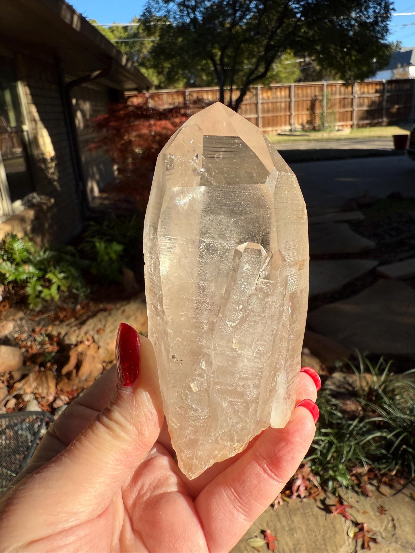 Rare Record Keeper Gold Lemurian, new, high quality, 4.25”, crystal healing, gift