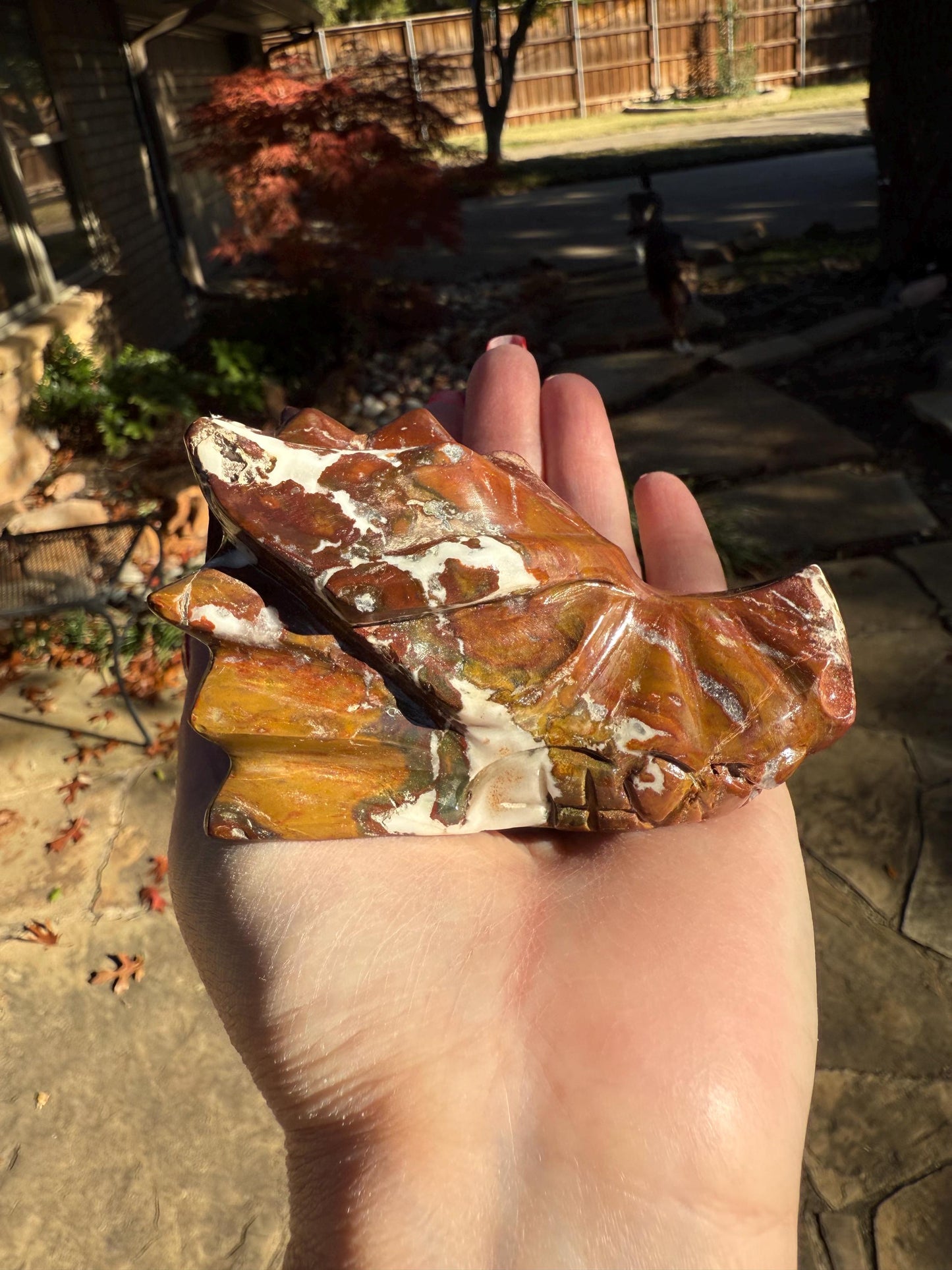 Red Jasper Dragon Skull, 3.75”, altar, gifts, high vibration crystals, crystal healing