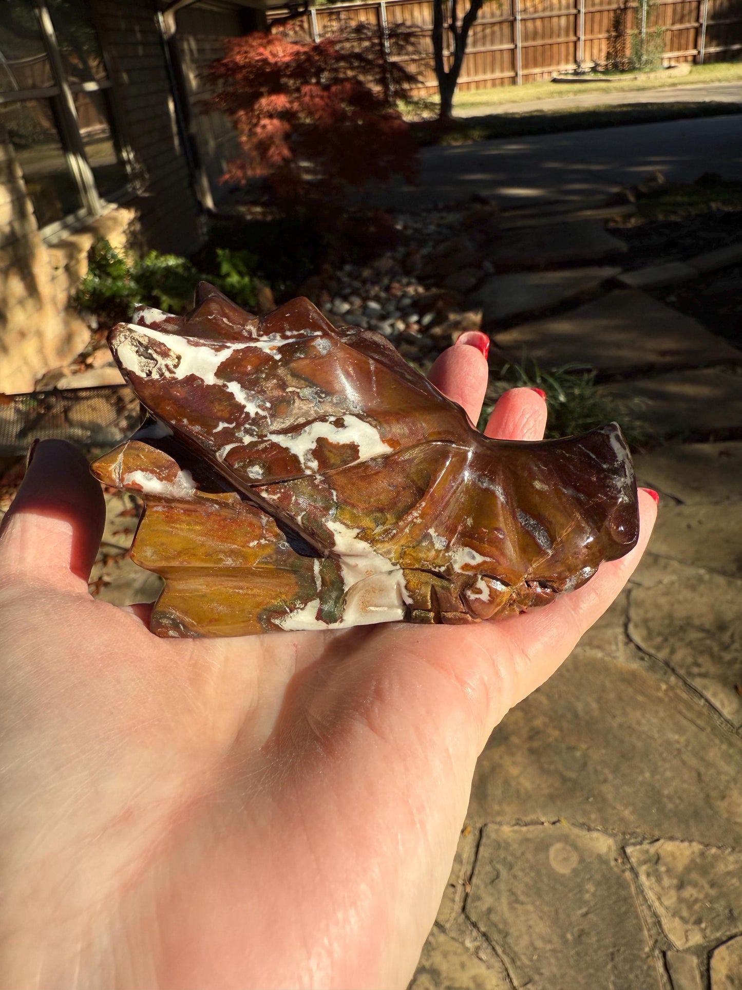 Red Jasper Dragon Skull, 3.75”, altar, gifts, high vibration crystals, crystal healing