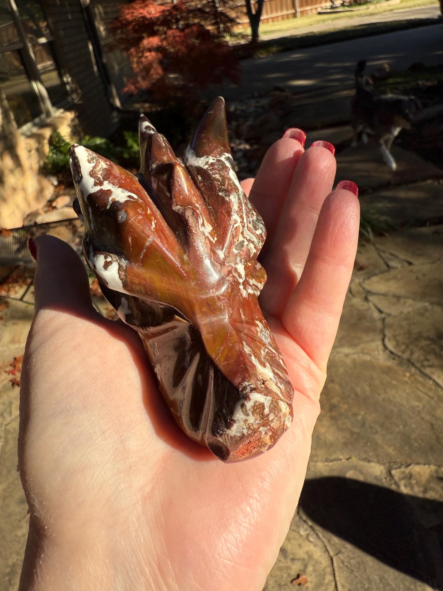 Red Jasper Dragon Skull, 3.75”, altar, gifts, high vibration crystals, crystal healing