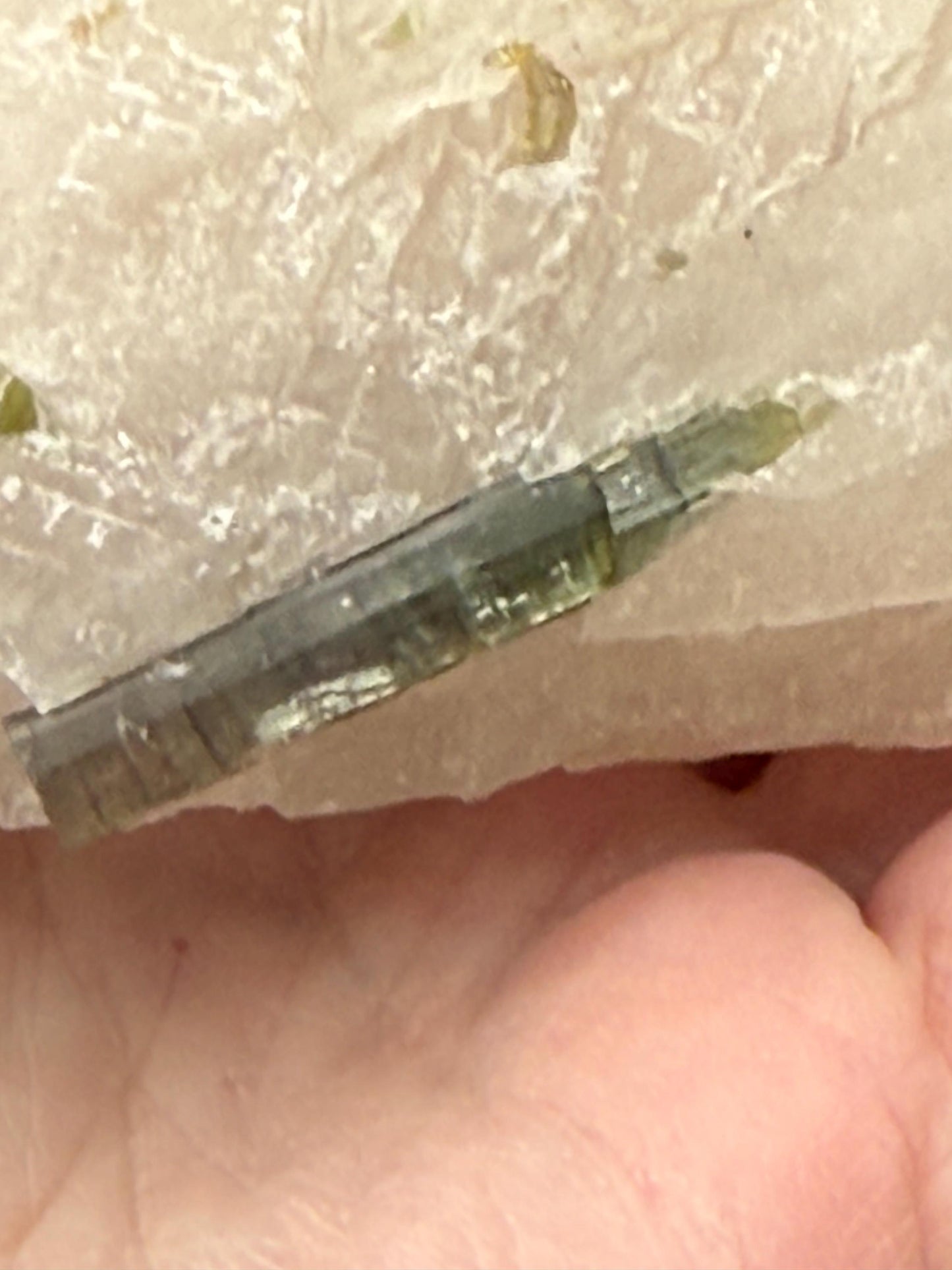 Large Green Tourmaline in Quartz with inner rod, stunning raw altar piece 7 oz, high vibration crystals, 3”