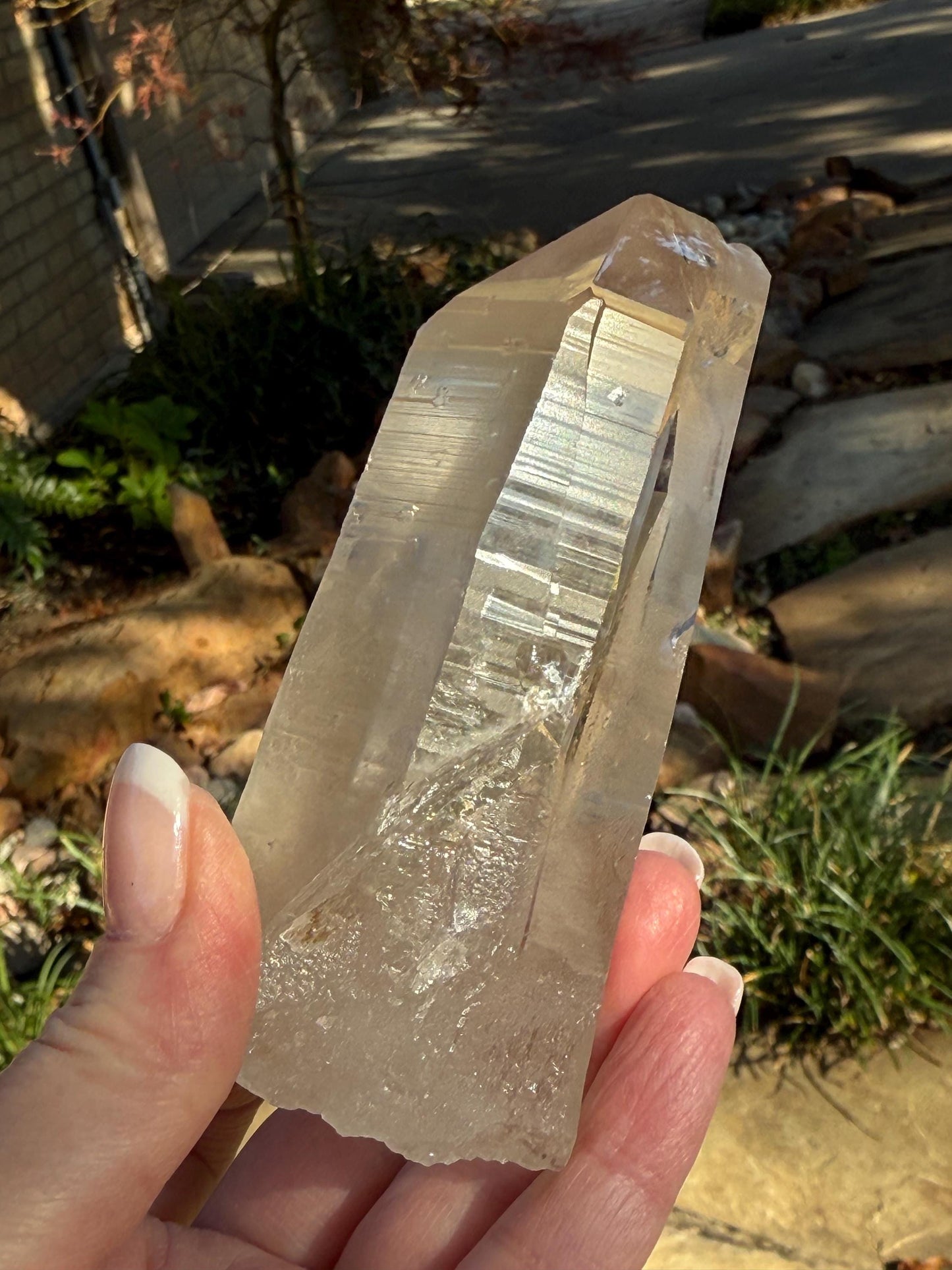 Rare Record Keeper Gold Twin Lemurian, new, high quality, 4”, crystal healing, gift