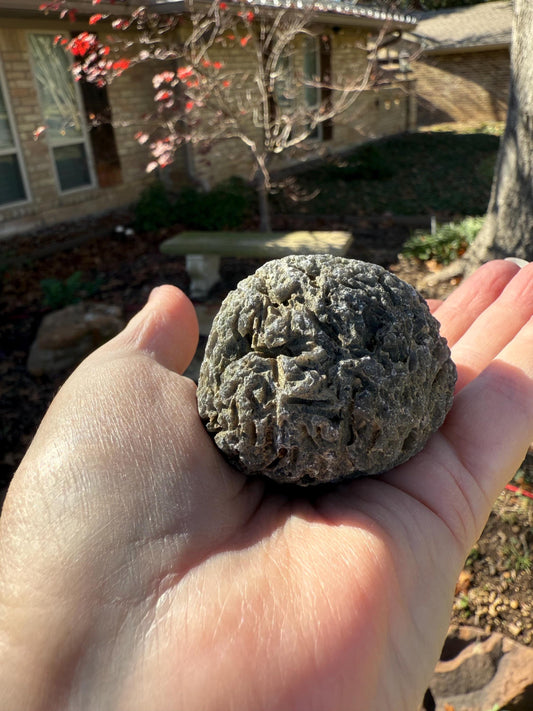 Large Agni Manitite Tektite Palm Stone, Tumbled, 2.25”, new in shop and hand-collected, high vibration crystals