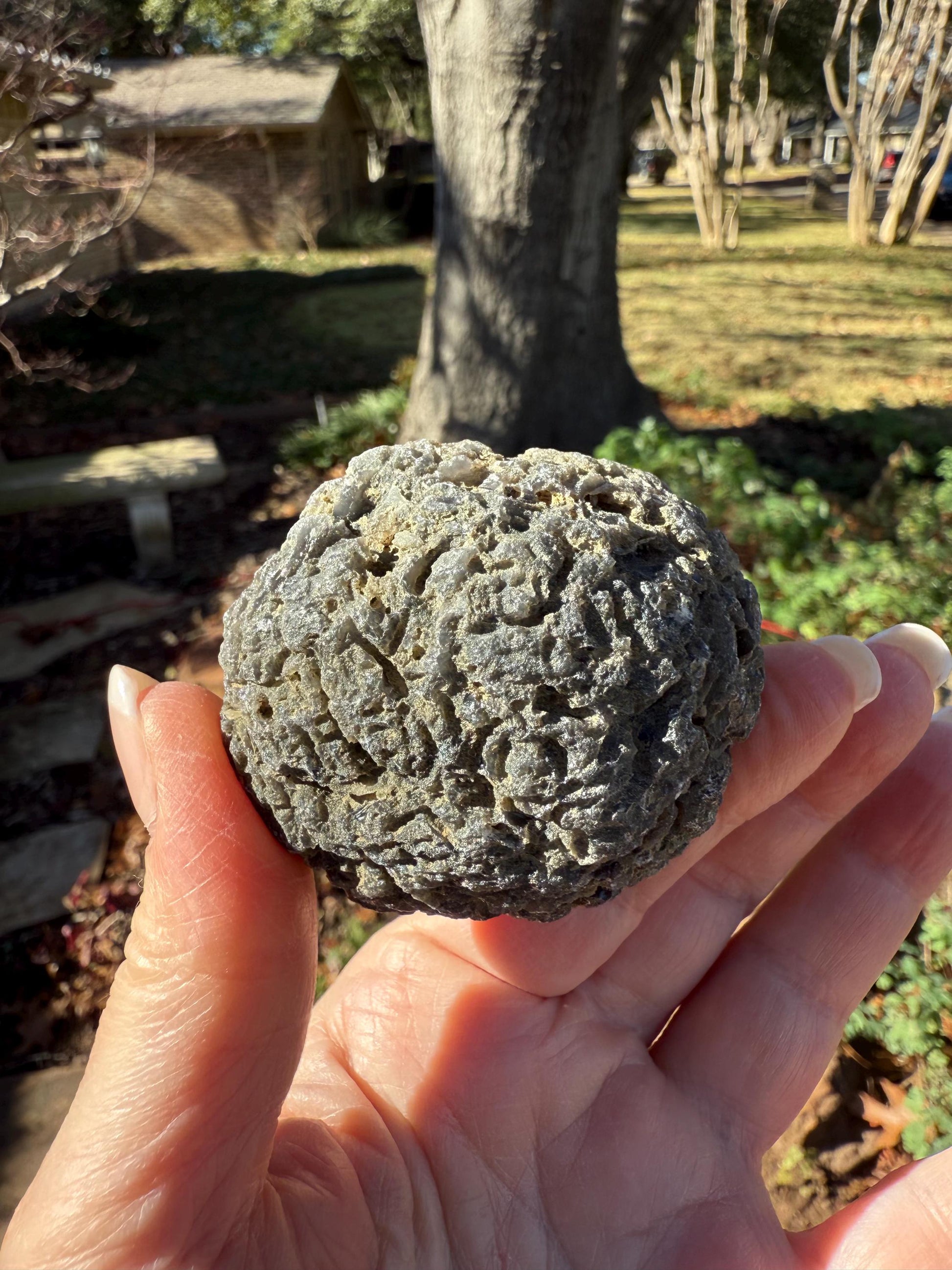 Large Agni Manitite Tektite Palm Stone, Tumbled, 2.25”, new in shop and hand-collected, high vibration crystals