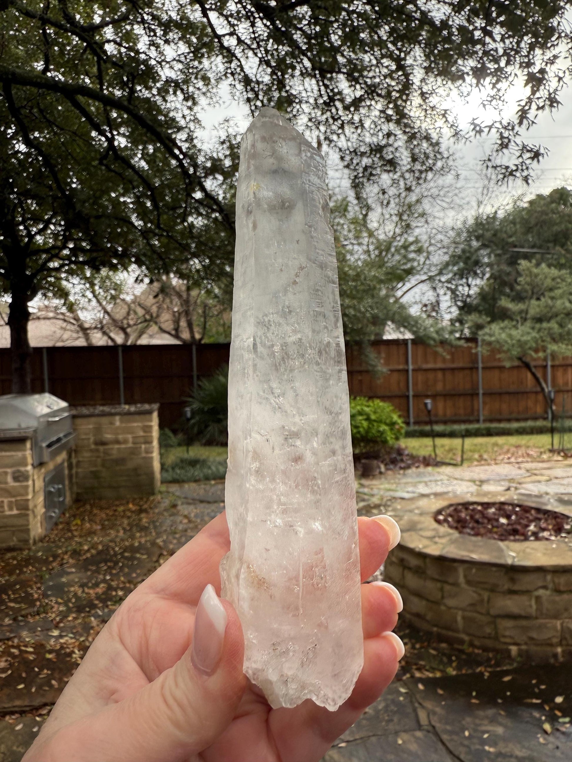 Laser Sugared Lemurian Wand 6”, crown bottom, New, gift, altar, high vibration crystals