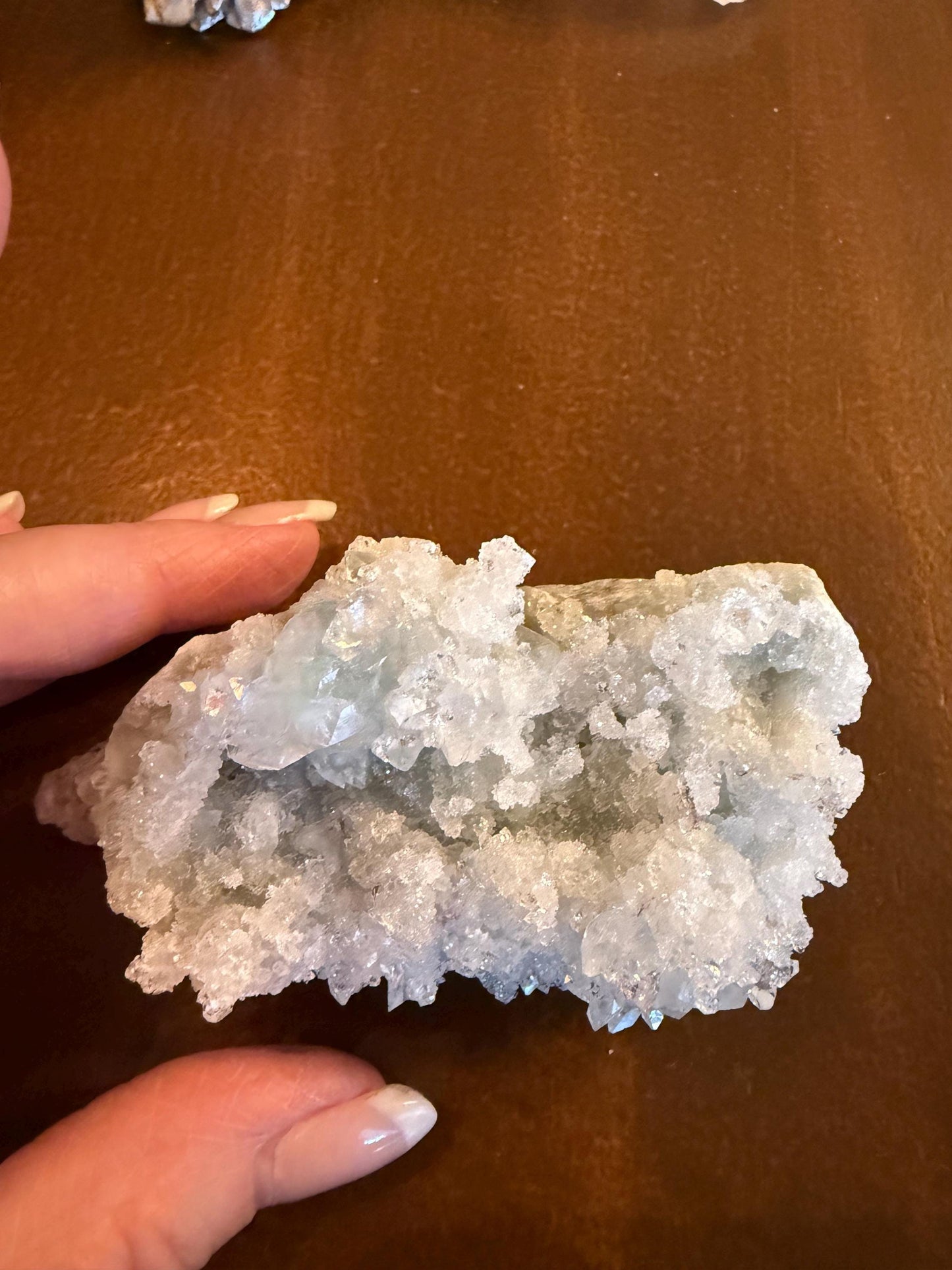 Sparkly Apophyllite Fairy Bed pure diamond crust, new, high vibration crystals, gifts, altar, 3.5”