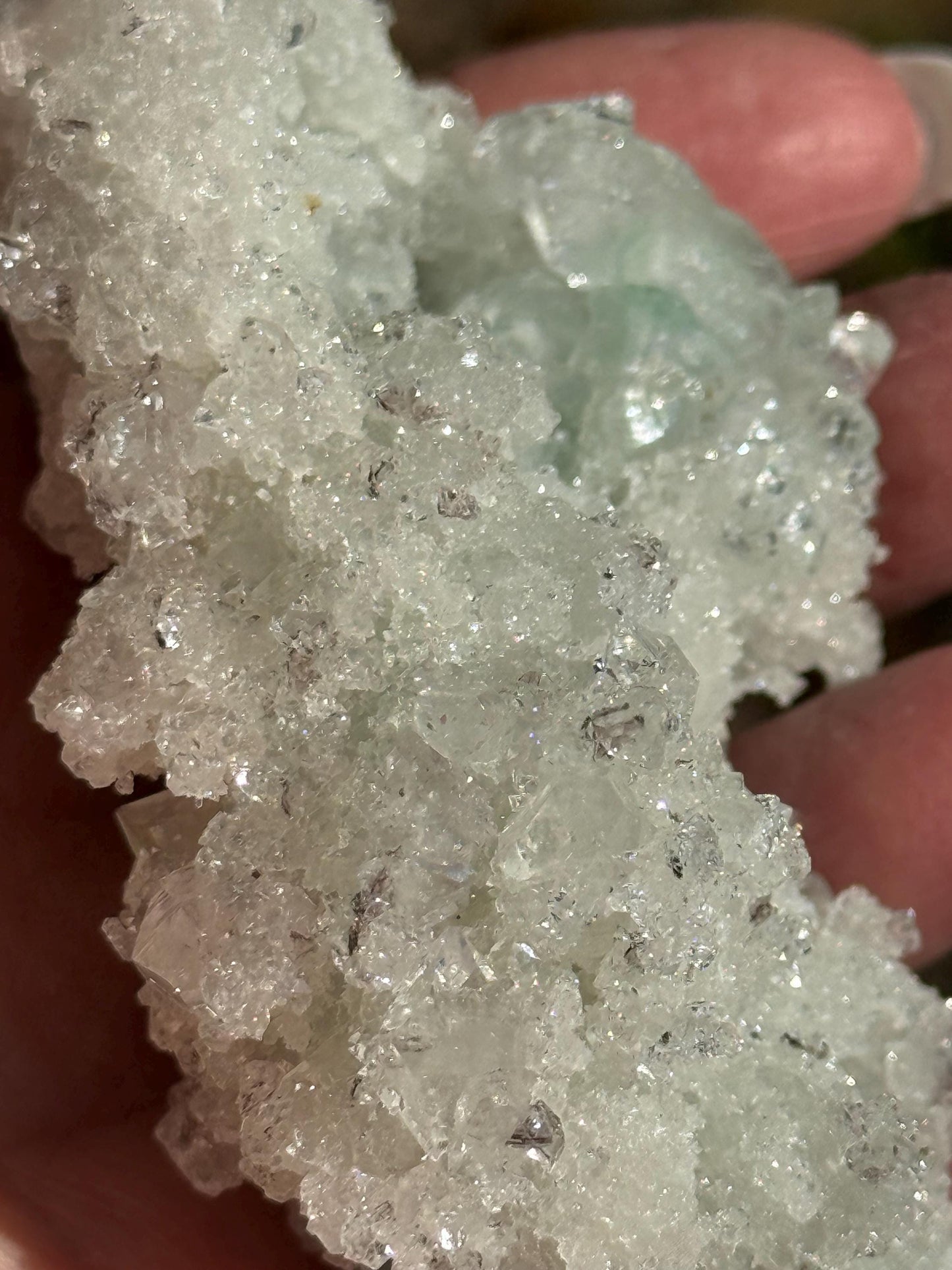 Sparkly Apophyllite Fairy Bed pure diamond crust, new, high vibration crystals, gifts, altar, 3.5”