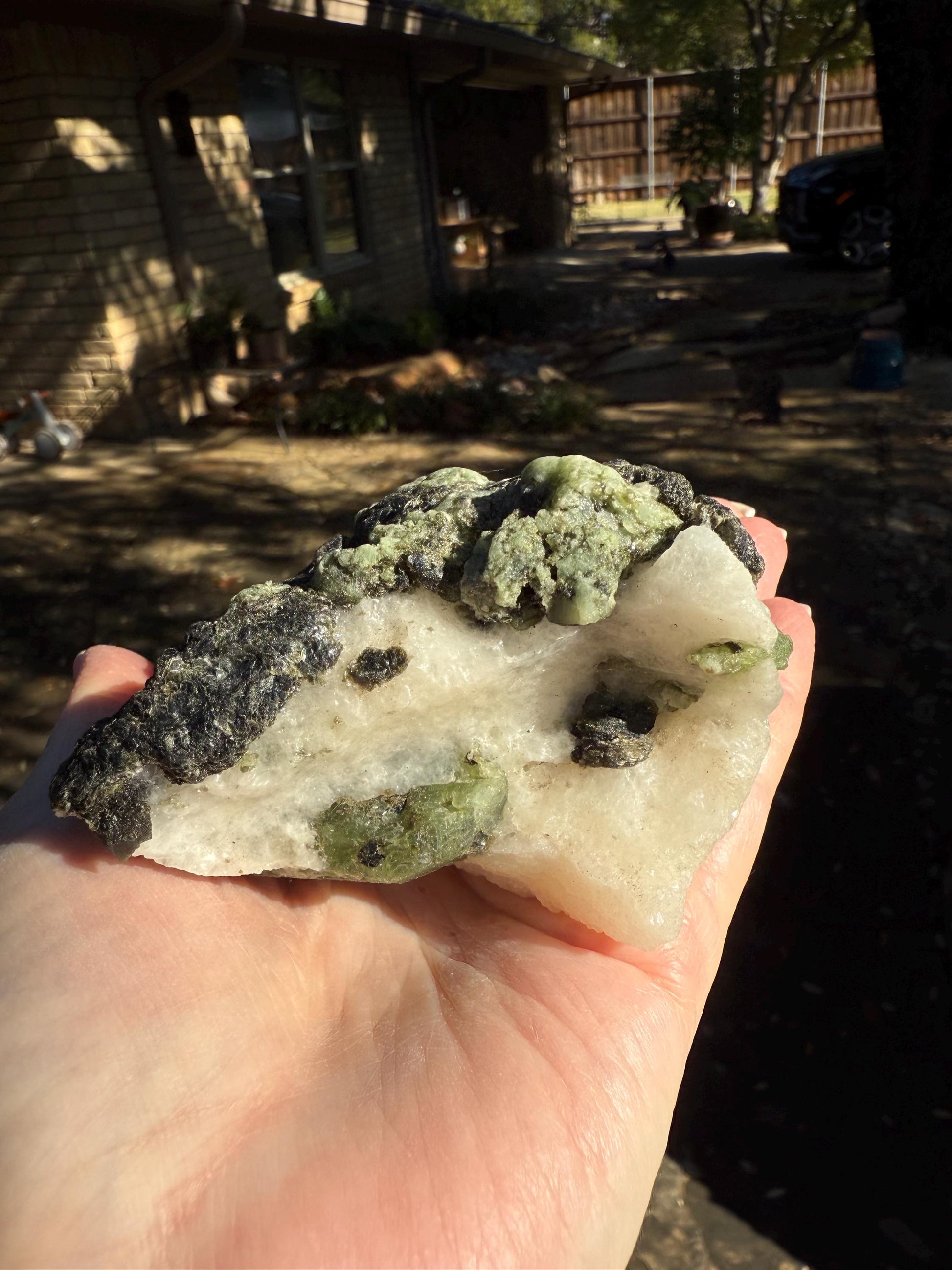 Premium Diopside Palm Specimen, 3.5”, rare, AAA quality, healing crystals