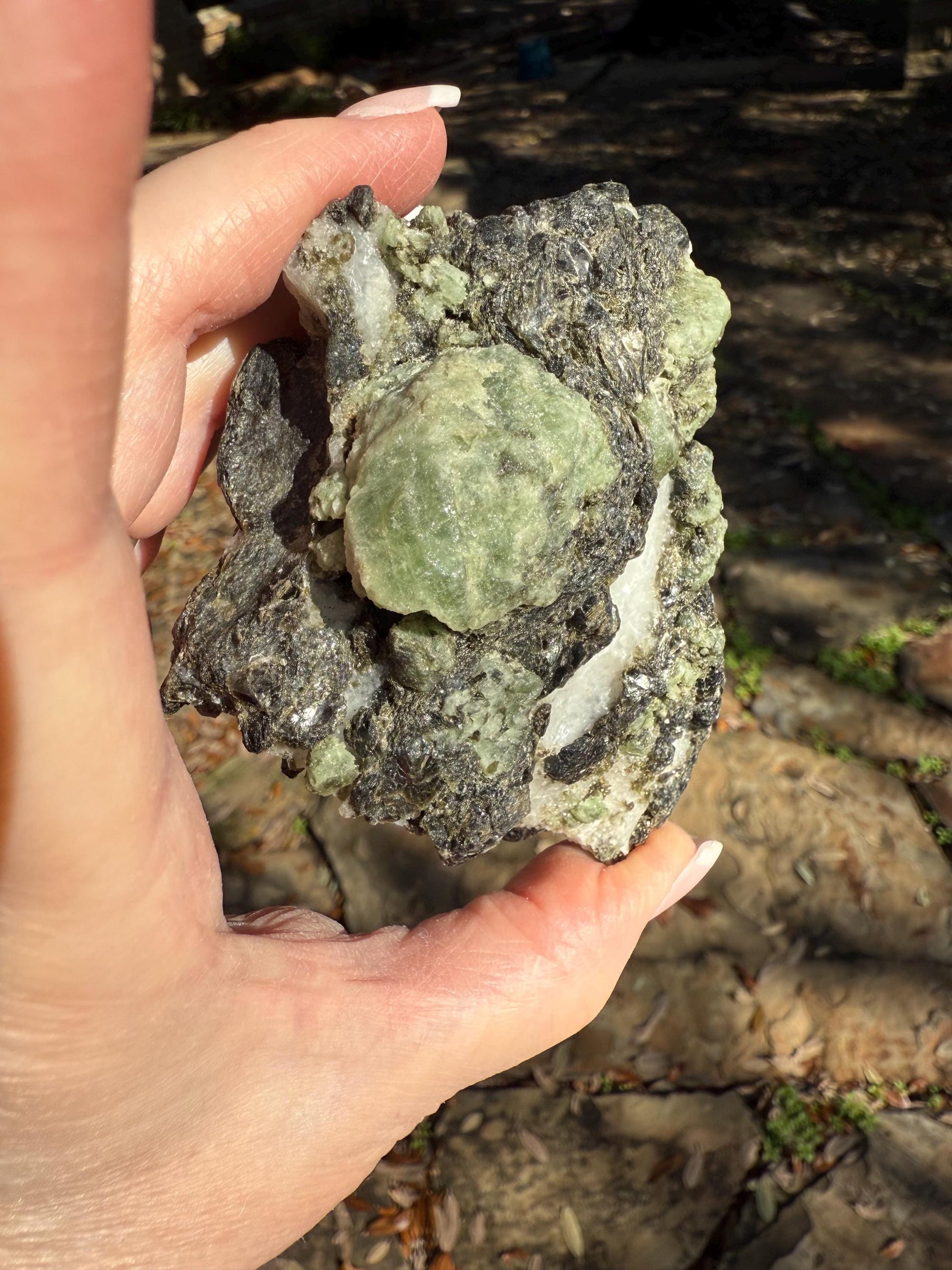 Premium Diopside Palm Specimen, 3.5”, rare, AAA quality, healing crystals