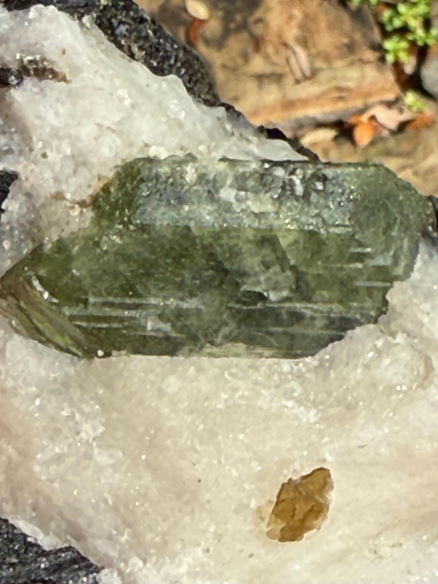 Premium Diopside Palm Specimen, 3.5”, rare, AAA quality, healing crystals