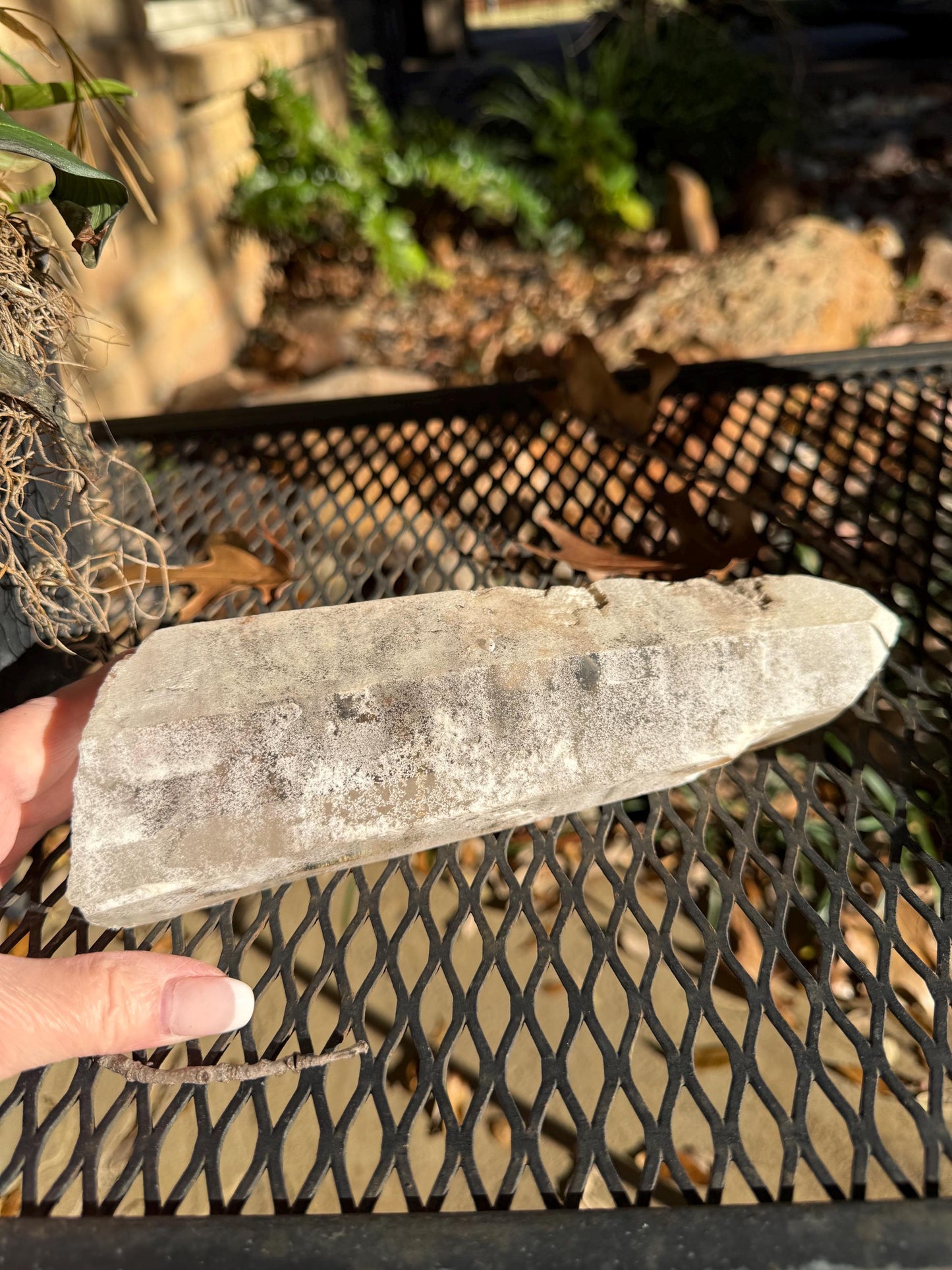 Sugared Laser Singing Lemurian Wand 8.75”, crown bottom, New, gift, altar, high vibration crystals