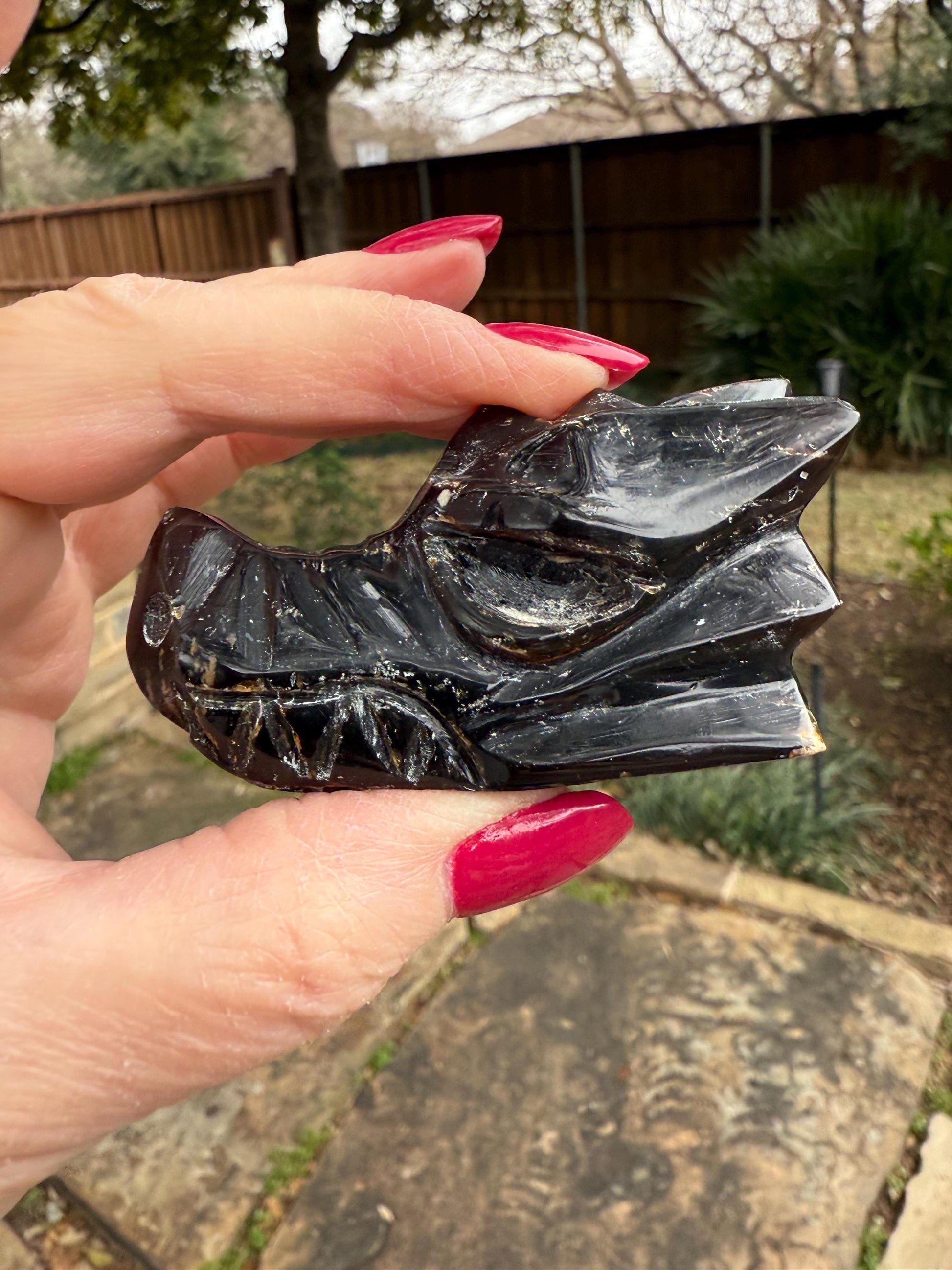 Amber Dragon 2.75”, Rare, Crystal Healing, High Vibration Crystals, altar, gift, authentic amber