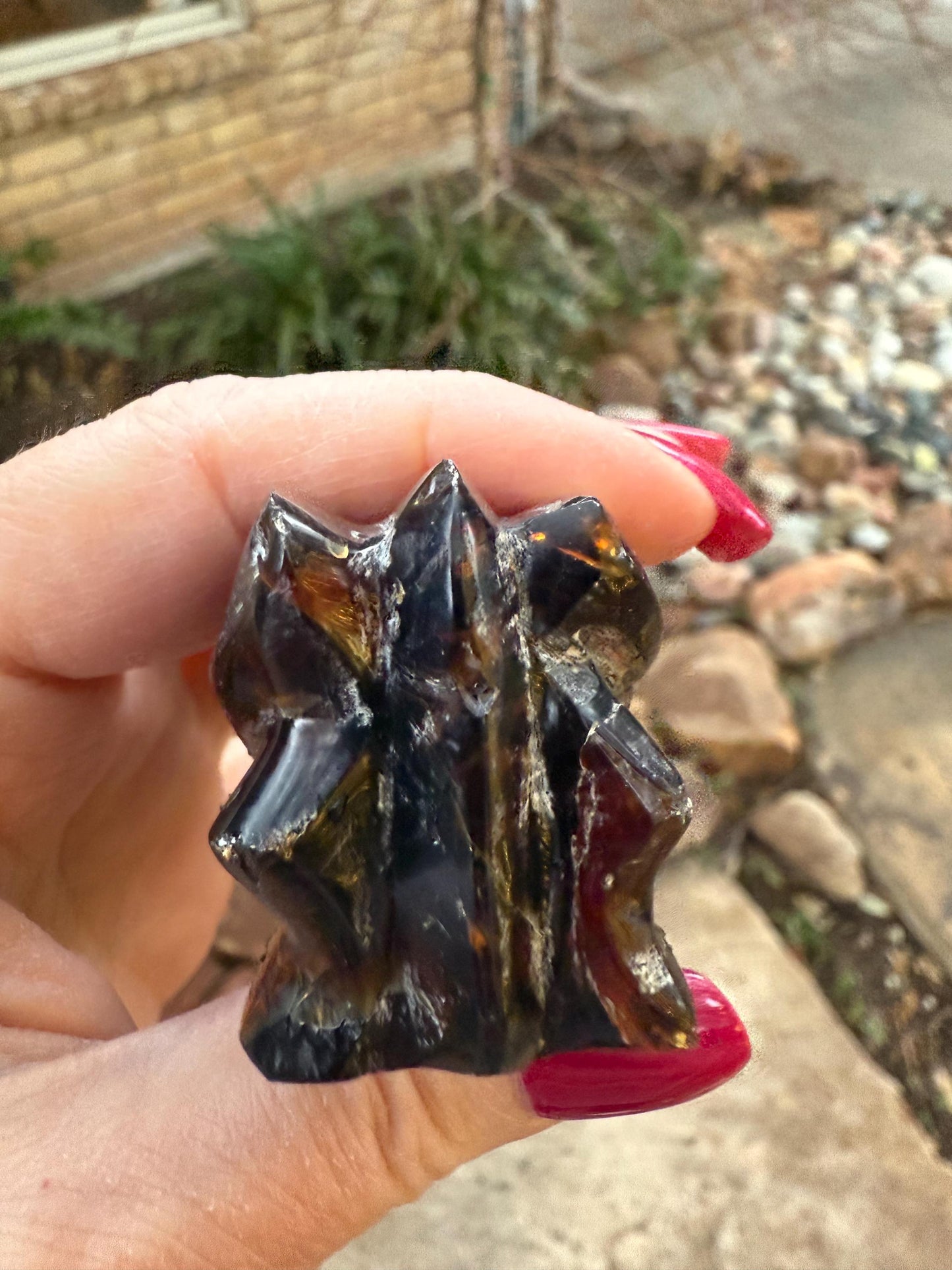 Amber Dragon 2.5”, Rare, Crystal Healing, High Vibration Crystals, altar, gift, authentic amber