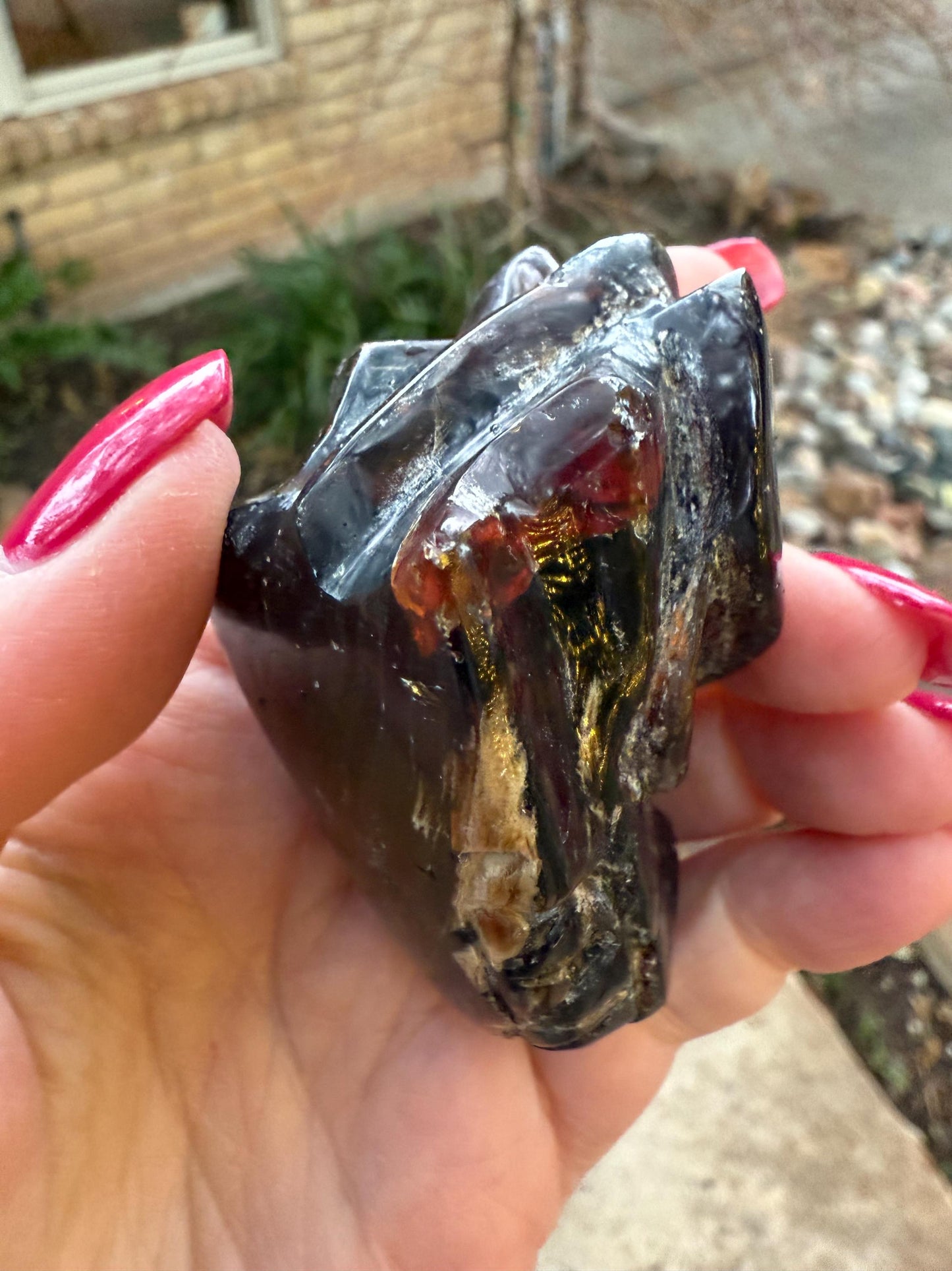 Amber Dragon 2.5”, Rare, Crystal Healing, High Vibration Crystals, altar, gift, authentic amber