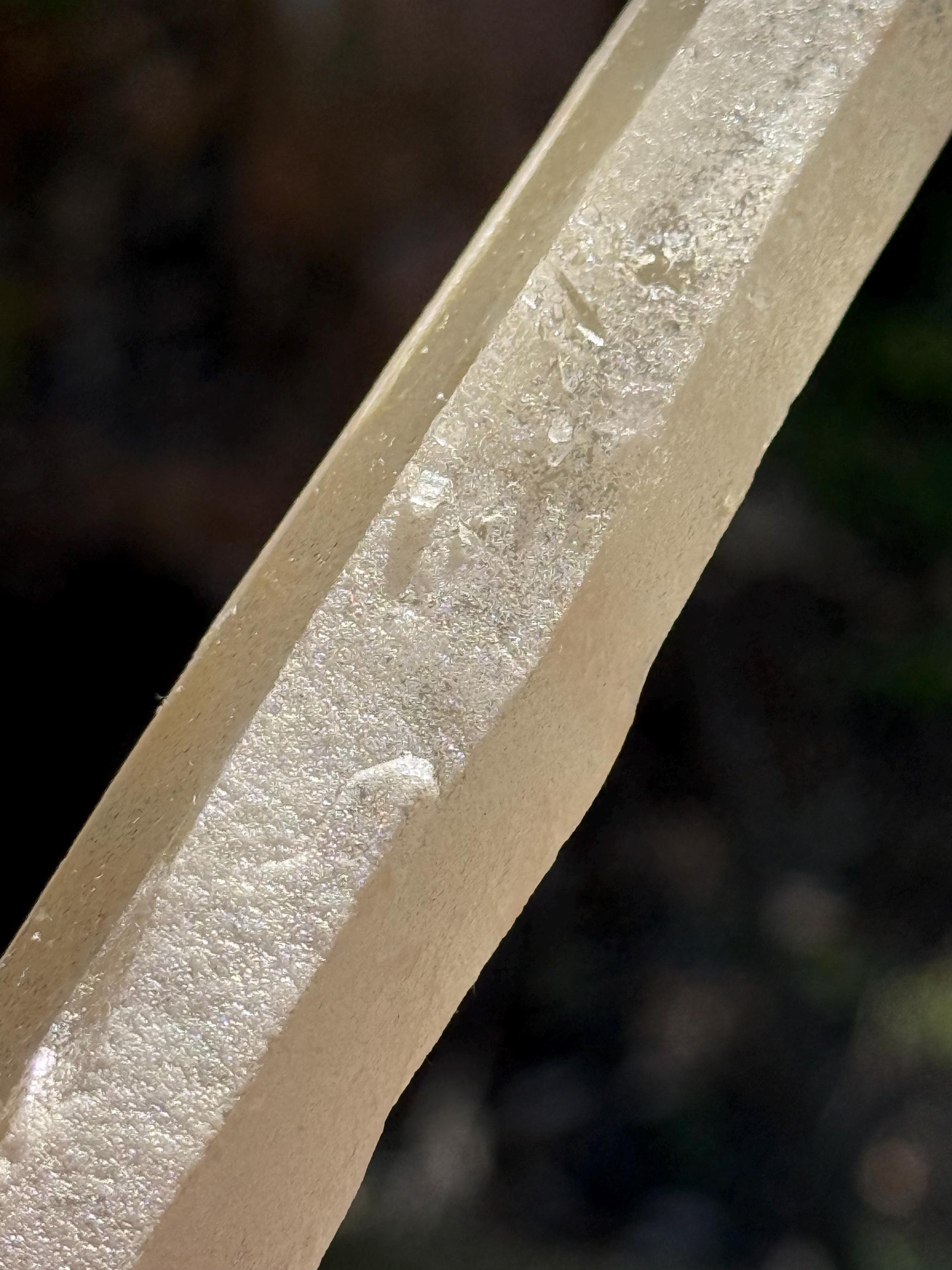 Laser Sugared Lemurian Wand 5.75”, crown bottom, New, gift, altar, high vibration crystals