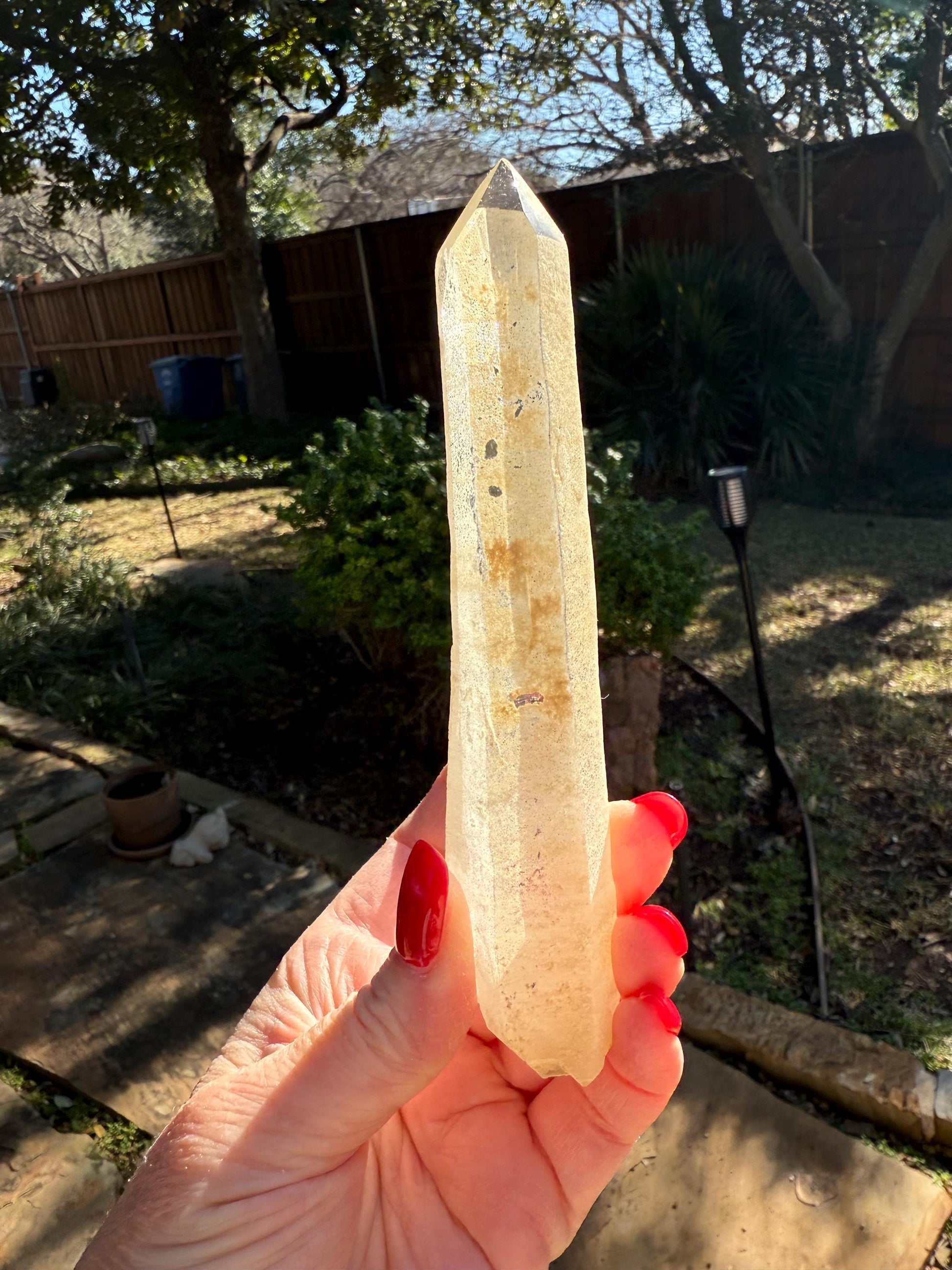 Laser Sugared Lemurian Wand 5.75”, crown bottom, New, gift, altar, high vibration crystals