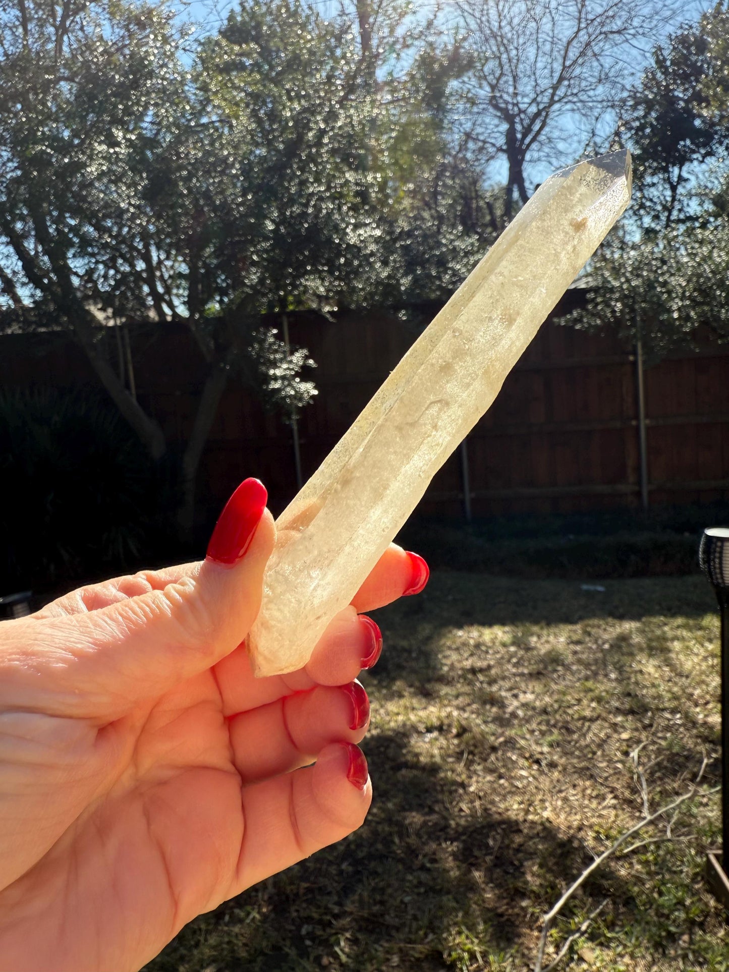 Laser Sugared Lemurian Wand 5.75”, crown bottom, New, gift, altar, high vibration crystals