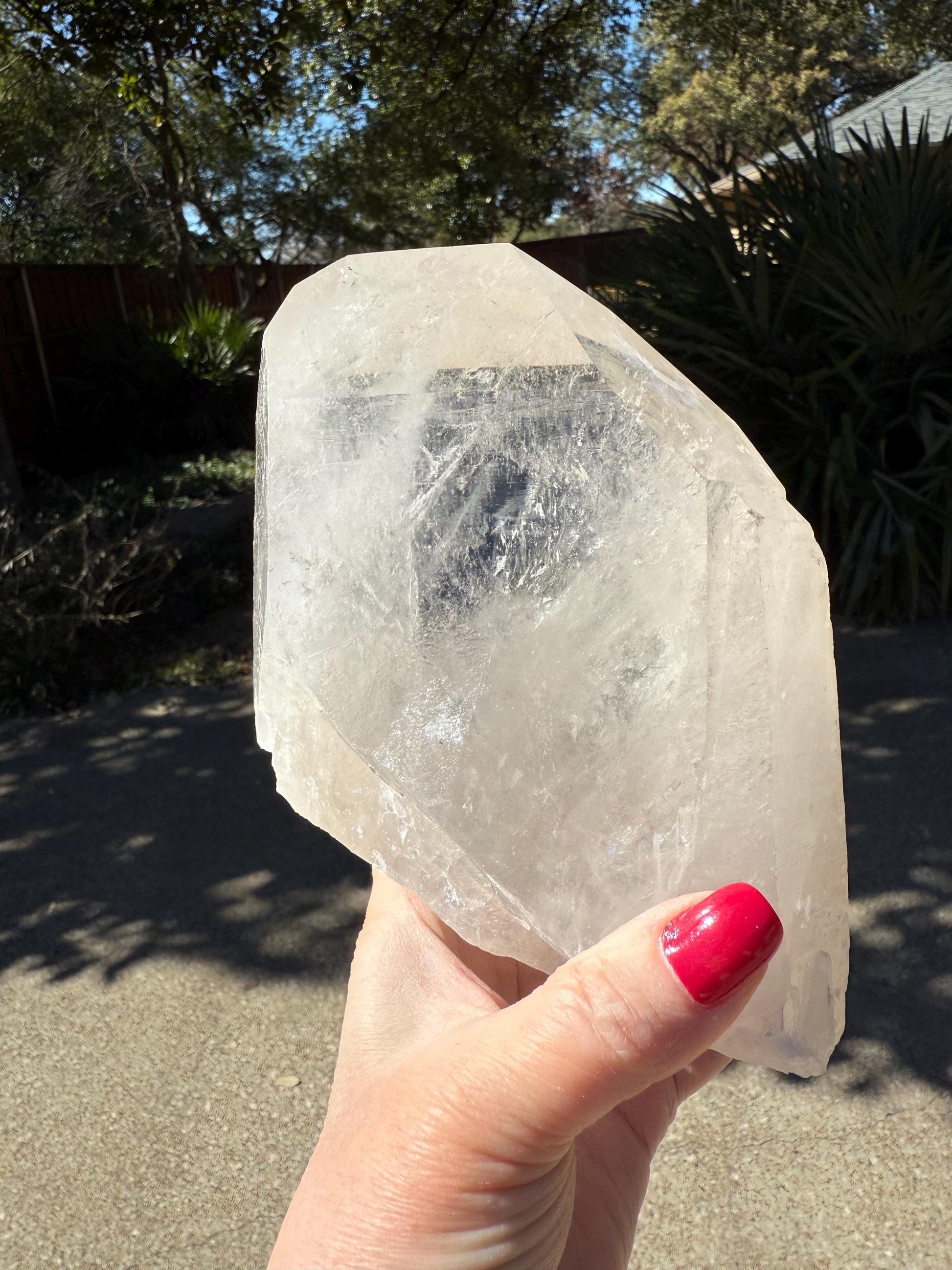 Starbrary Lemurian Statement Piece, Rare, New, gift, 6”, crystal healing, high vibration crystals