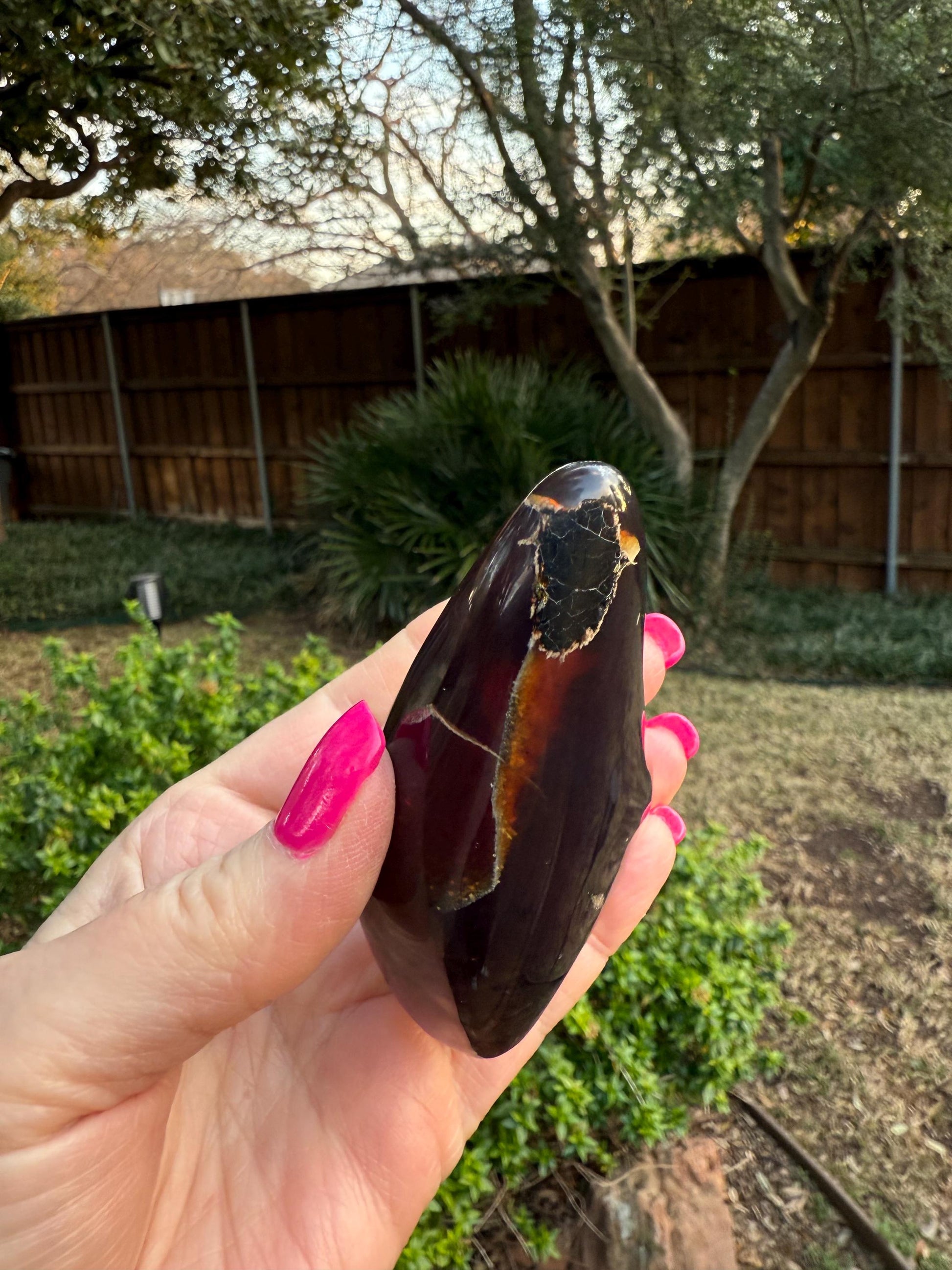 Polished authentic amber shield, New, altar, gift, high vibration crystals, natural, crystal healing, 3.25”