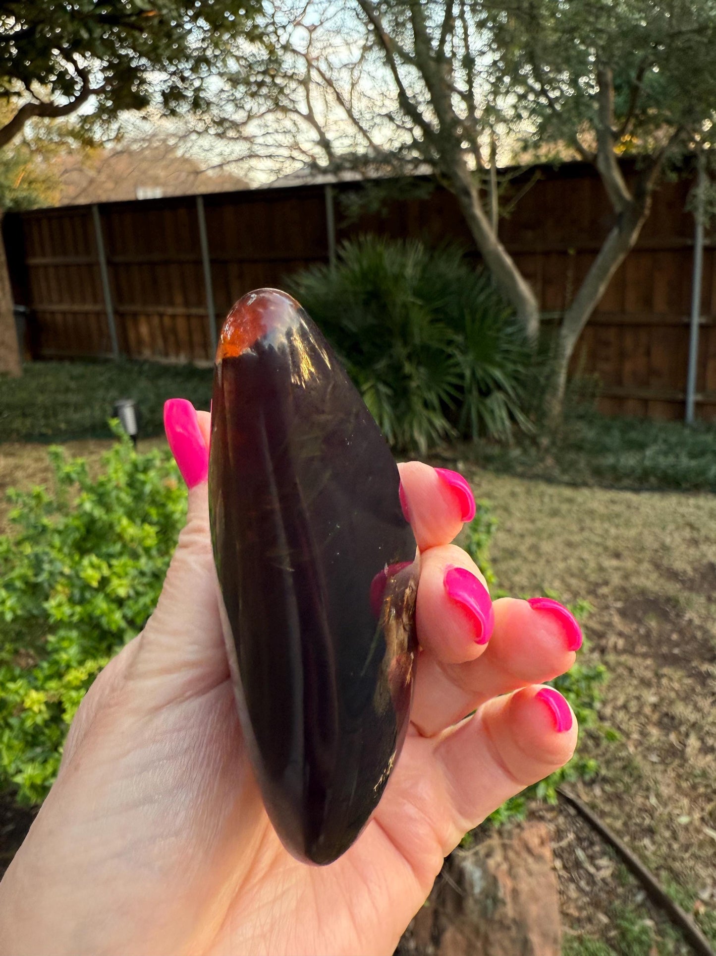 Polished authentic amber shield, New, altar, gift, high vibration crystals, natural, crystal healing, 3.25”