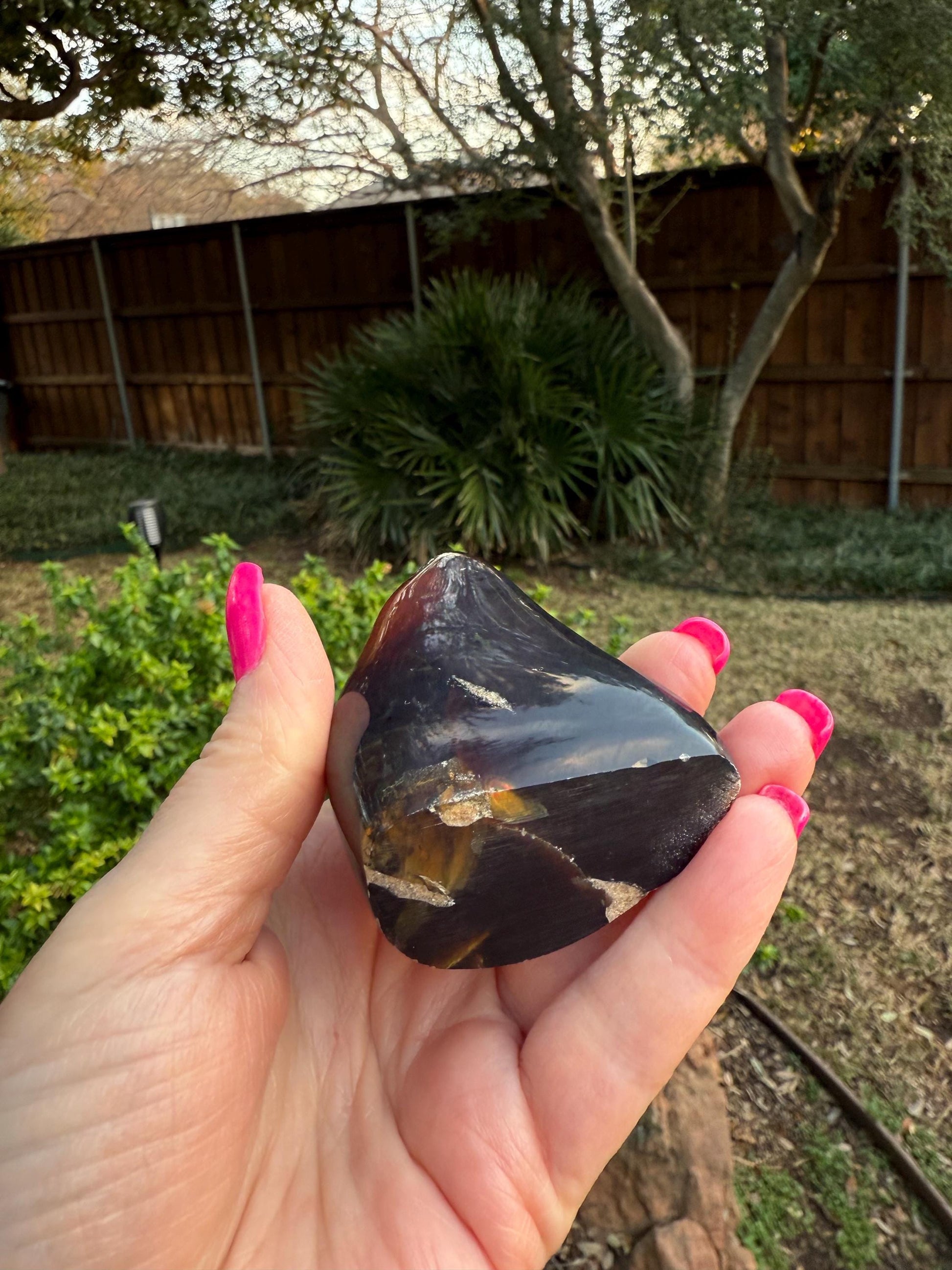 Polished authentic amber shield, New, altar, gift, high vibration crystals, natural, crystal healing, 3.25”