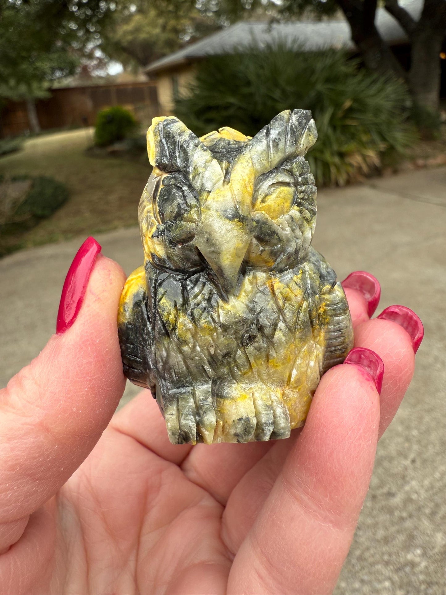 Eclipse Jasper Owl, 2.25”, crystal healing, high vibration crystals, altar, gifts