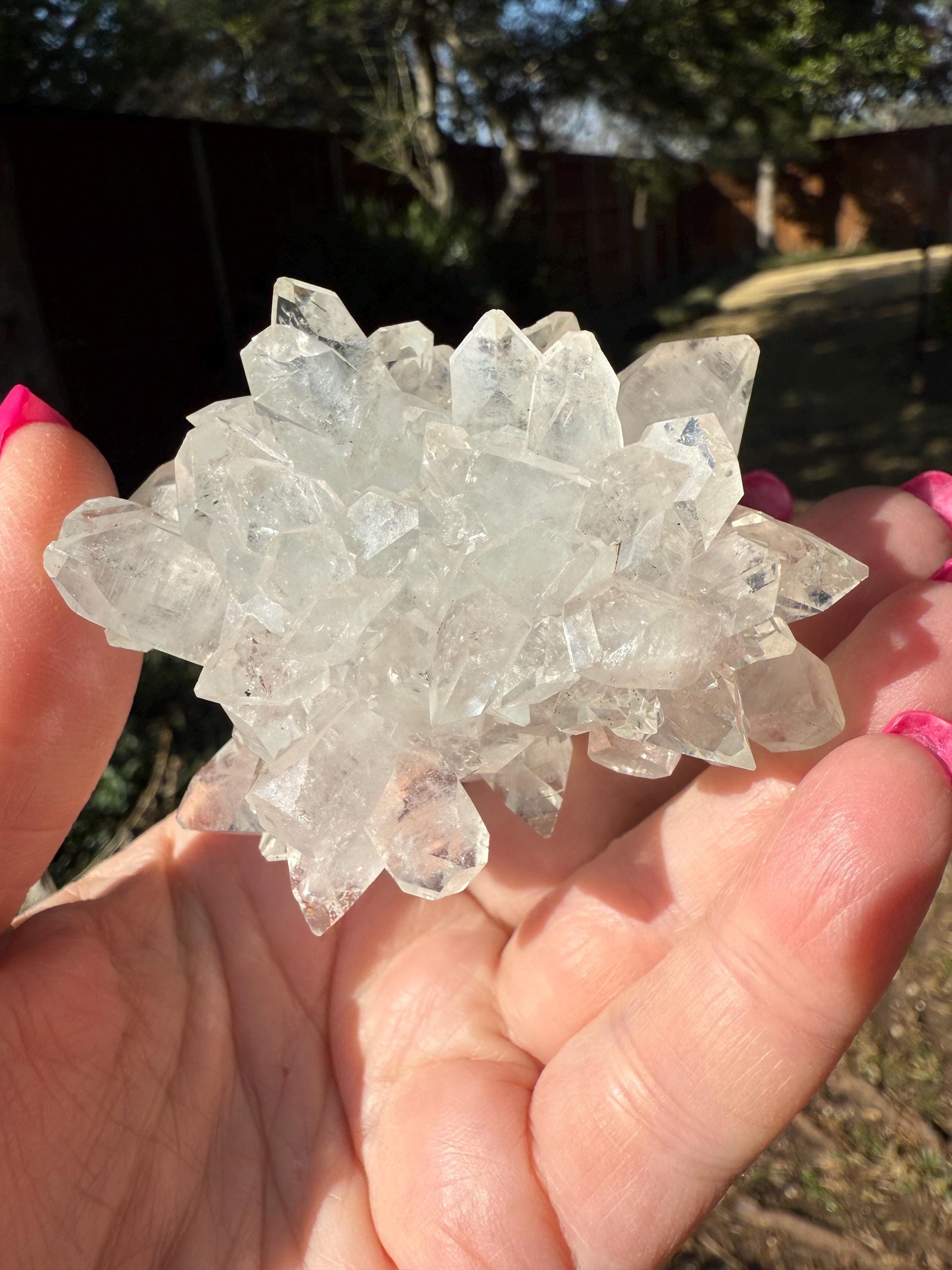 Apophyllite Fairy Rosette Bed with points like diamonds, new, high vibration crystals, gifts, altar, 2.75”