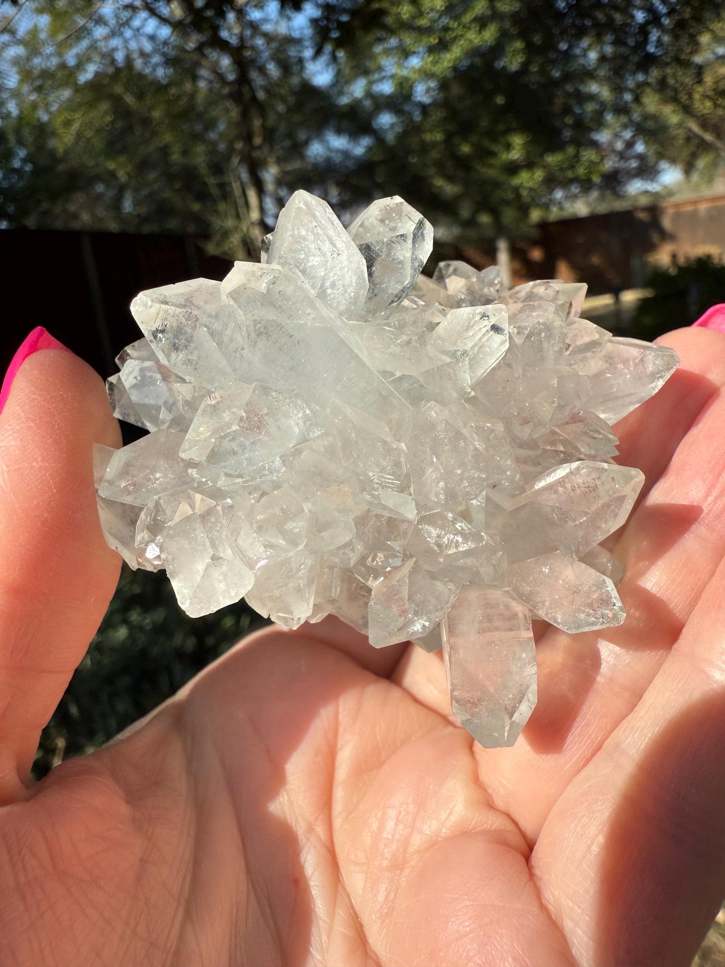 Apophyllite Fairy Rosette Bed with points like diamonds, new, high vibration crystals, gifts, altar, 2.75”