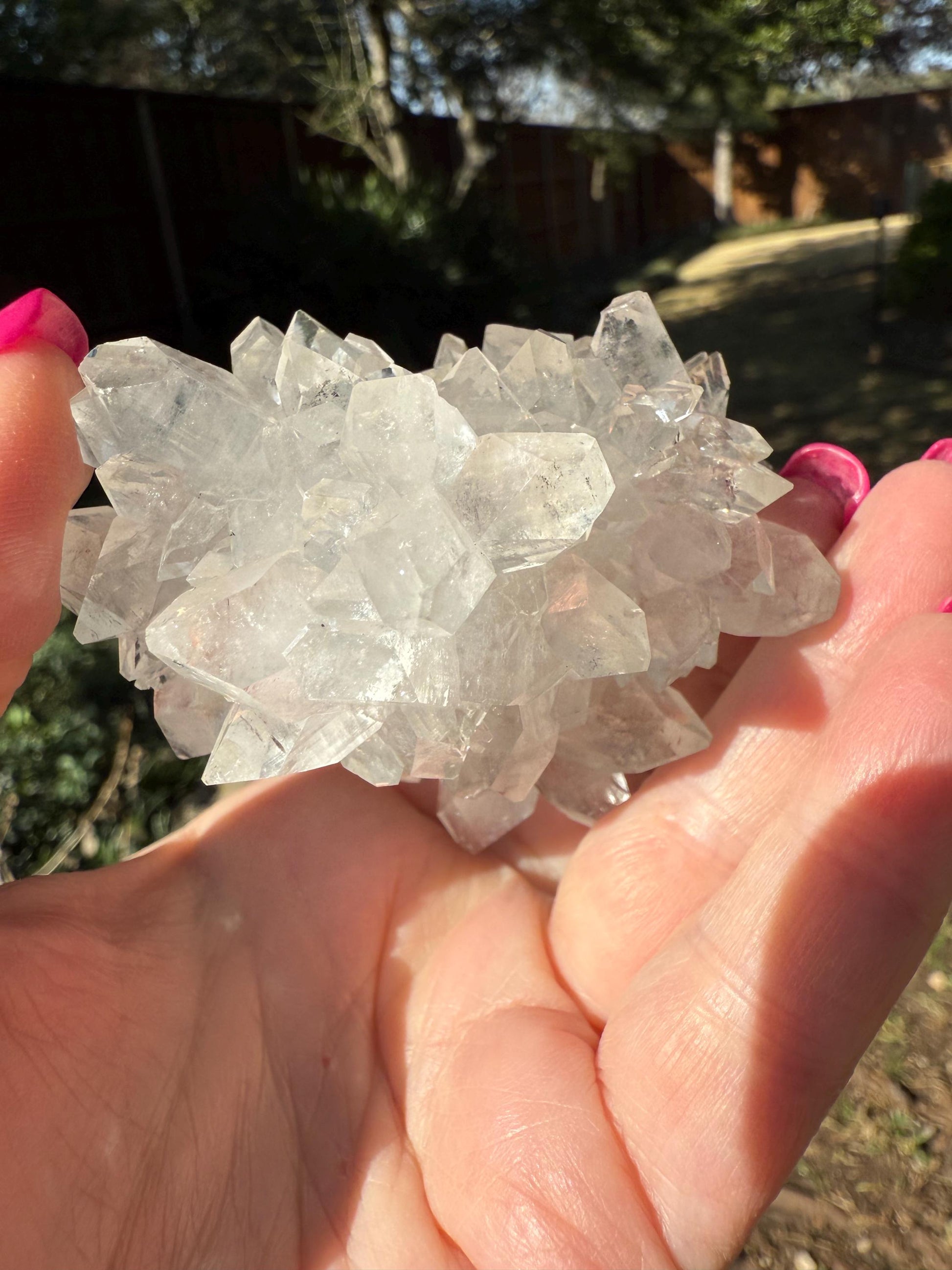 Apophyllite Fairy Rosette Bed with points like diamonds, new, high vibration crystals, gifts, altar, 2.75”