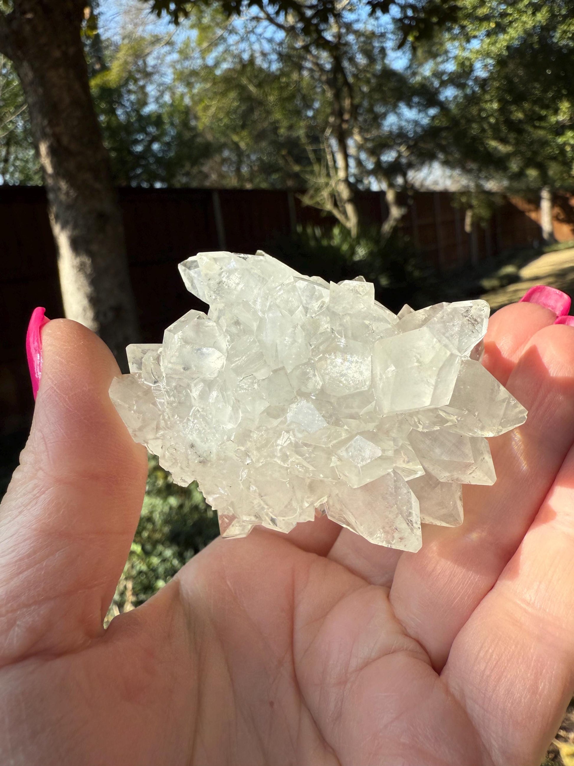 Apophyllite Fairy Rosette Bed with points like diamonds, new, high vibration crystals, gifts, altar, 2.75”