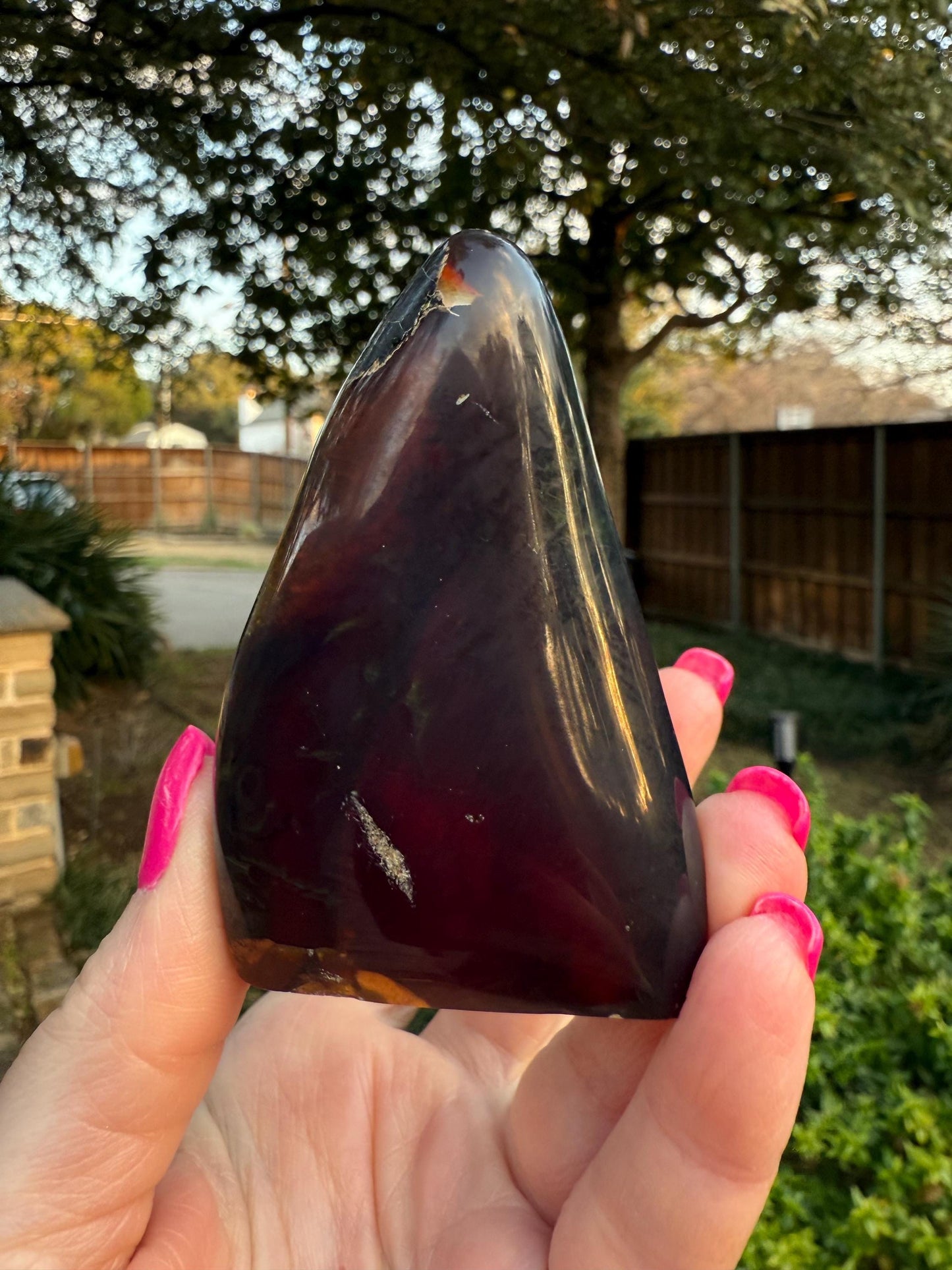 Polished authentic amber shield, New, altar, gift, high vibration crystals, natural, crystal healing, 3.25”