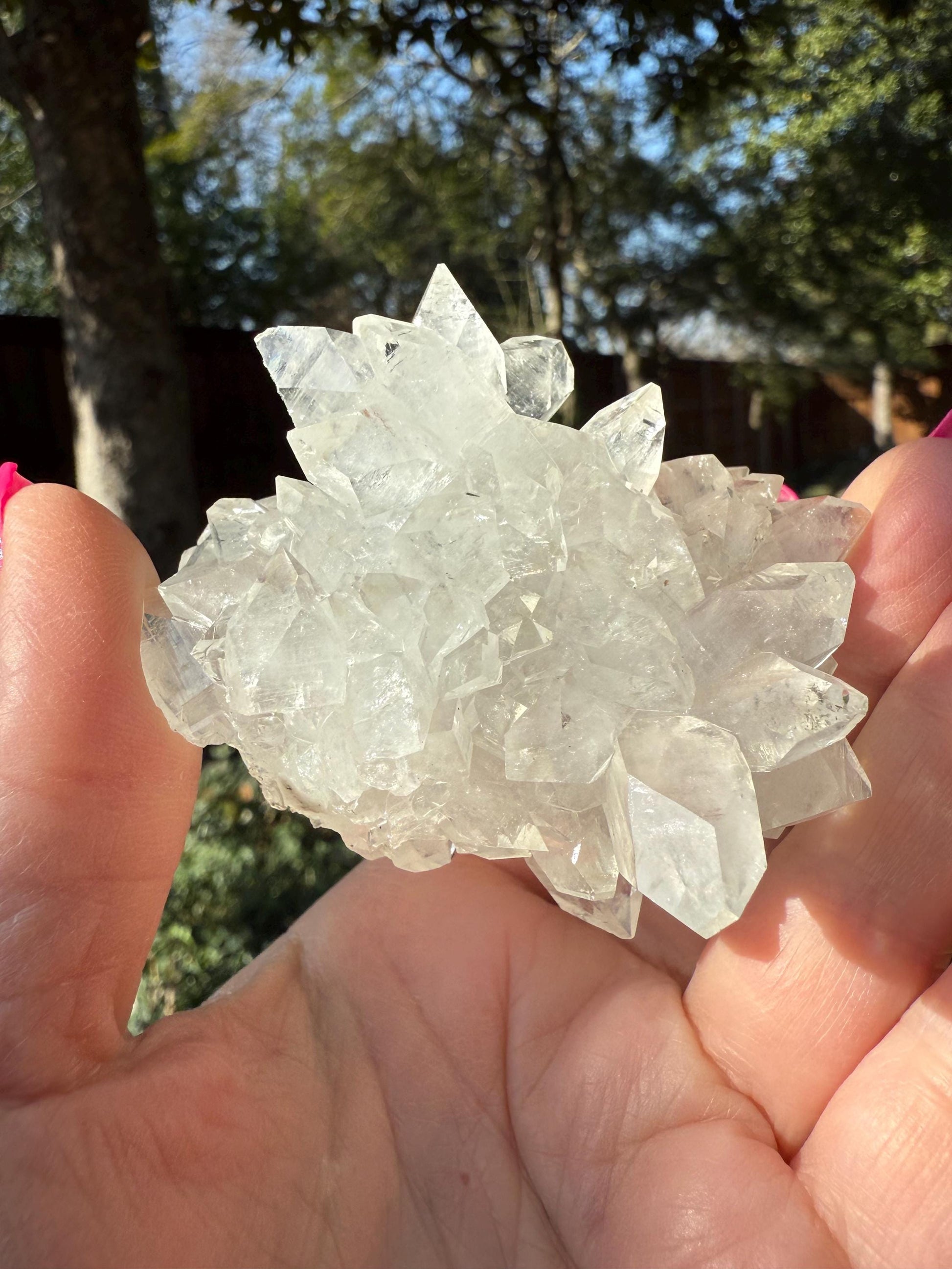 Apophyllite Fairy Rosette Bed with points like diamonds, new, high vibration crystals, gifts, altar, 2.75”