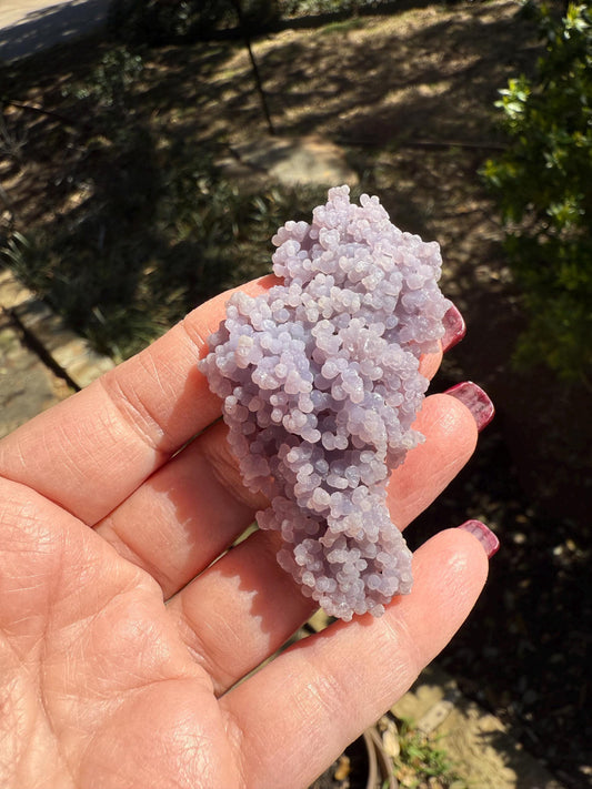 Grape Agate Cluster Bed, gift, altar, statement piece, new, high vibration crystals, 1.75”