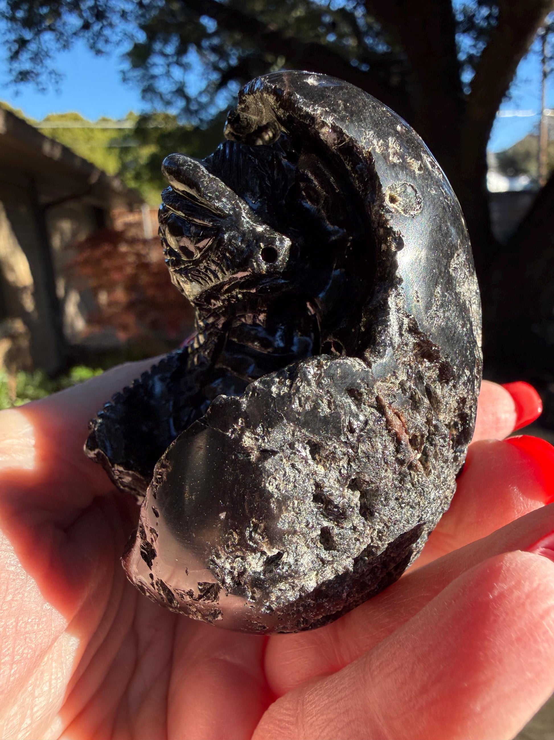 Very Rare Agni Manitite Tektite Dragon Egg 3”, beautifully carved, crystal healing, premium crystals