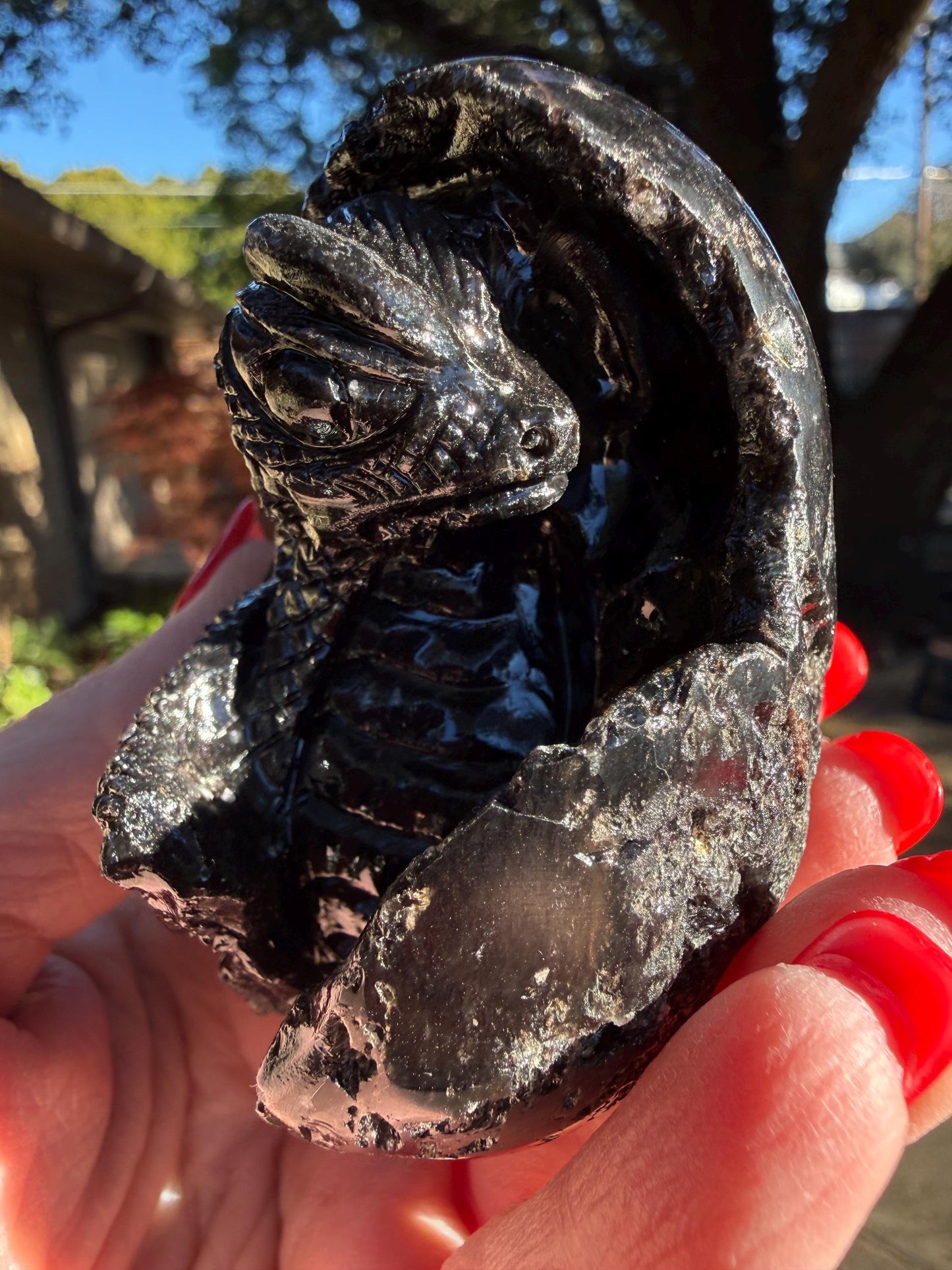 Very Rare Agni Manitite Tektite Dragon Egg 3”, beautifully carved, crystal healing, premium crystals