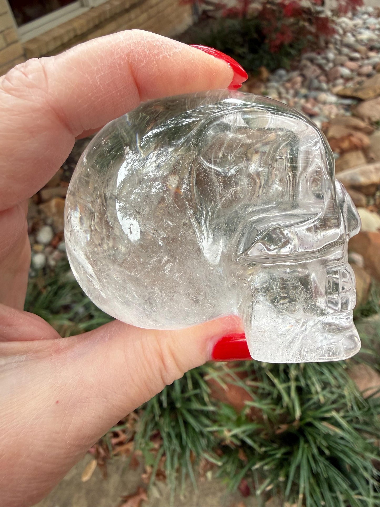 Lemurian Quartz stunning skull carving, high vibration crystals, altar, 3”