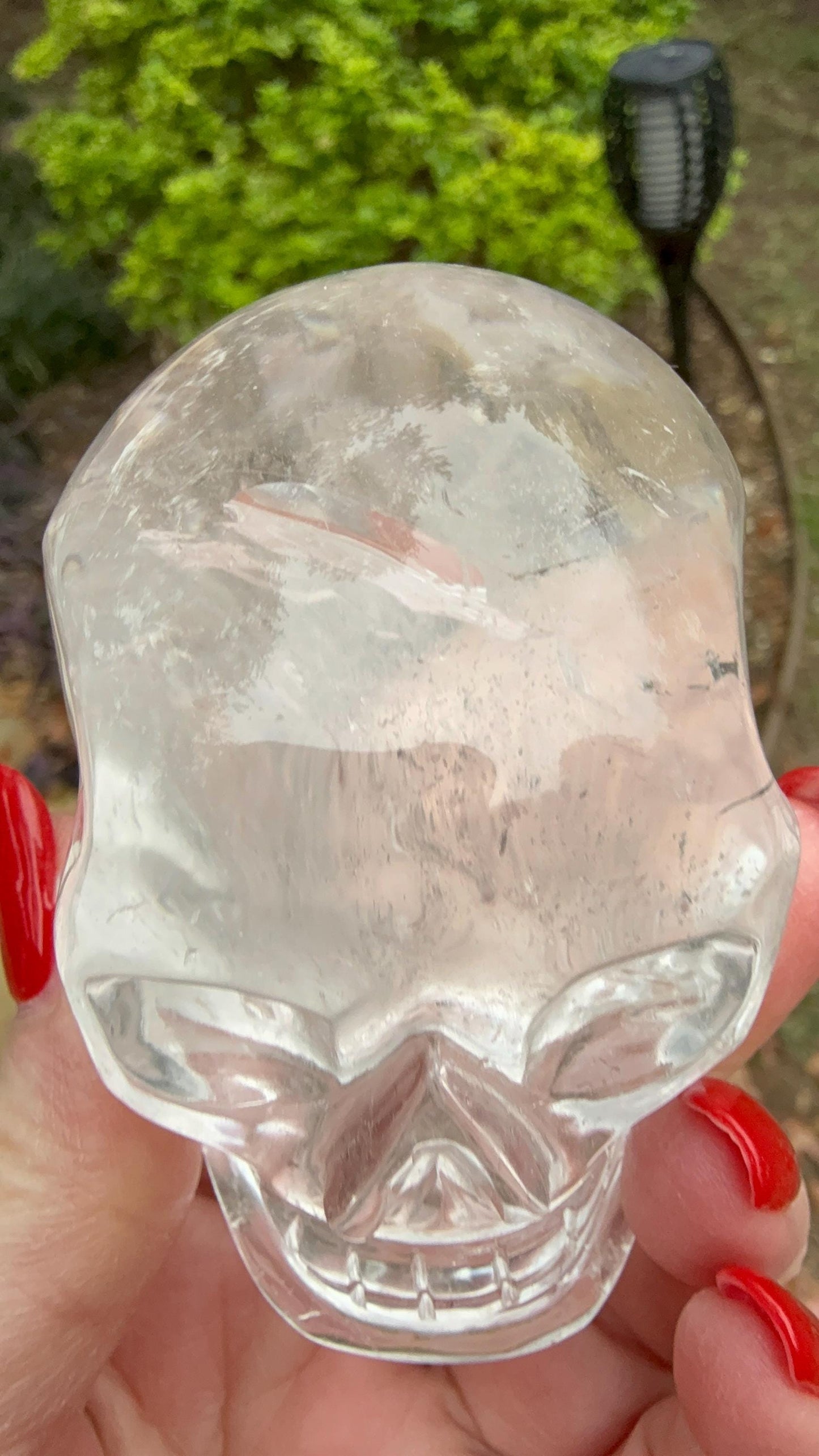 Lemurian Quartz stunning skull carving, high vibration crystals, altar, 3”