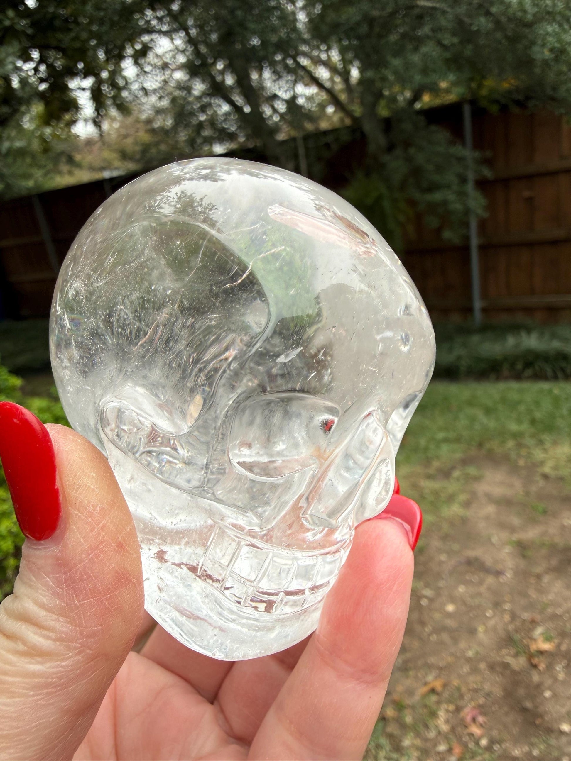 Lemurian Quartz stunning skull carving, high vibration crystals, altar, 3”