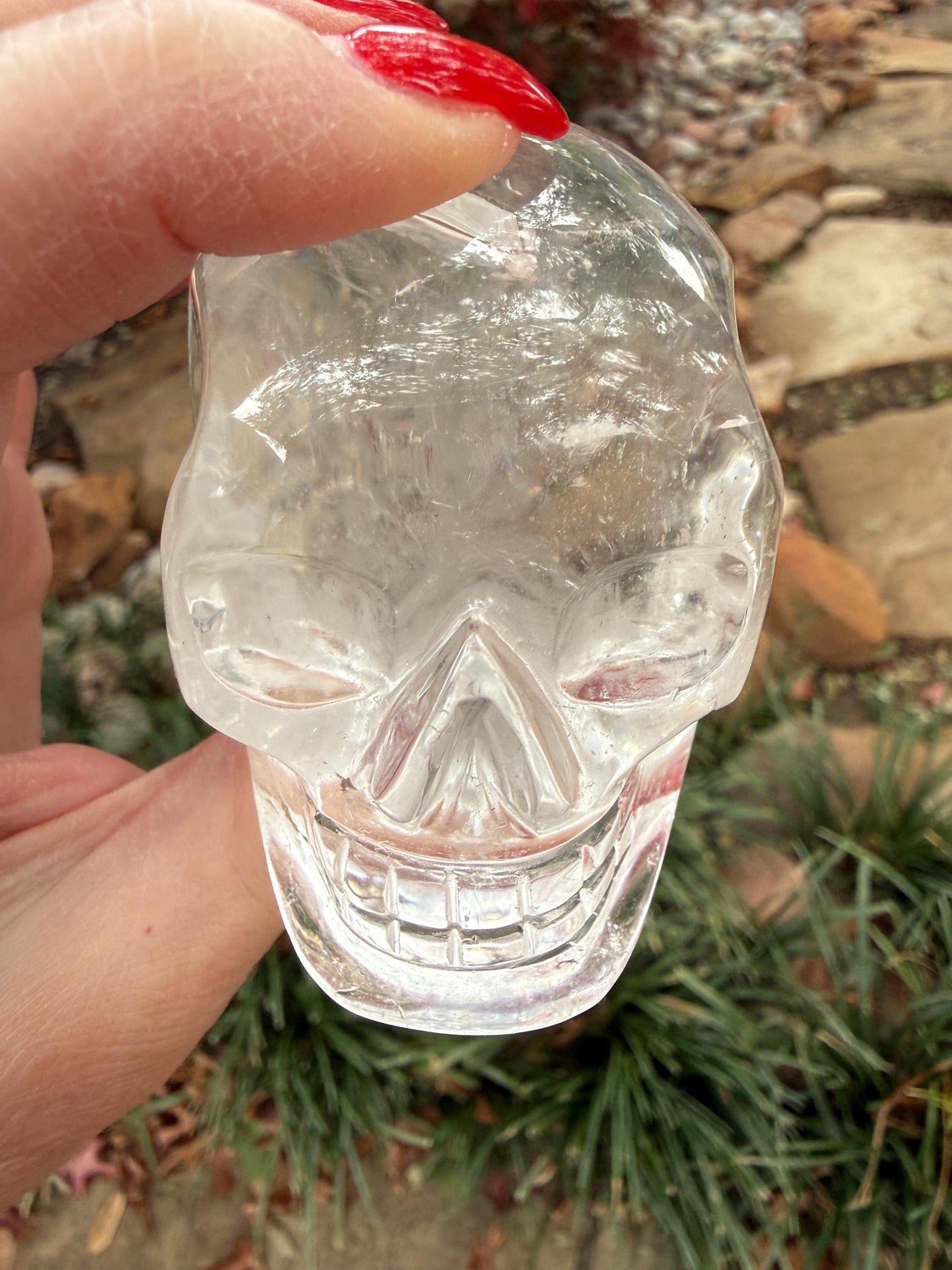 Lemurian Quartz stunning skull carving, high vibration crystals, altar, 3”