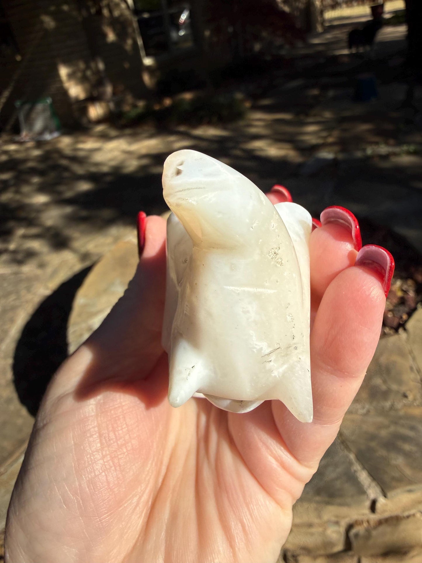 Merlinite Dendritic Agate Elephant, New, Crystal Healing, Tarot, High Vibration Crystals, 3.5”