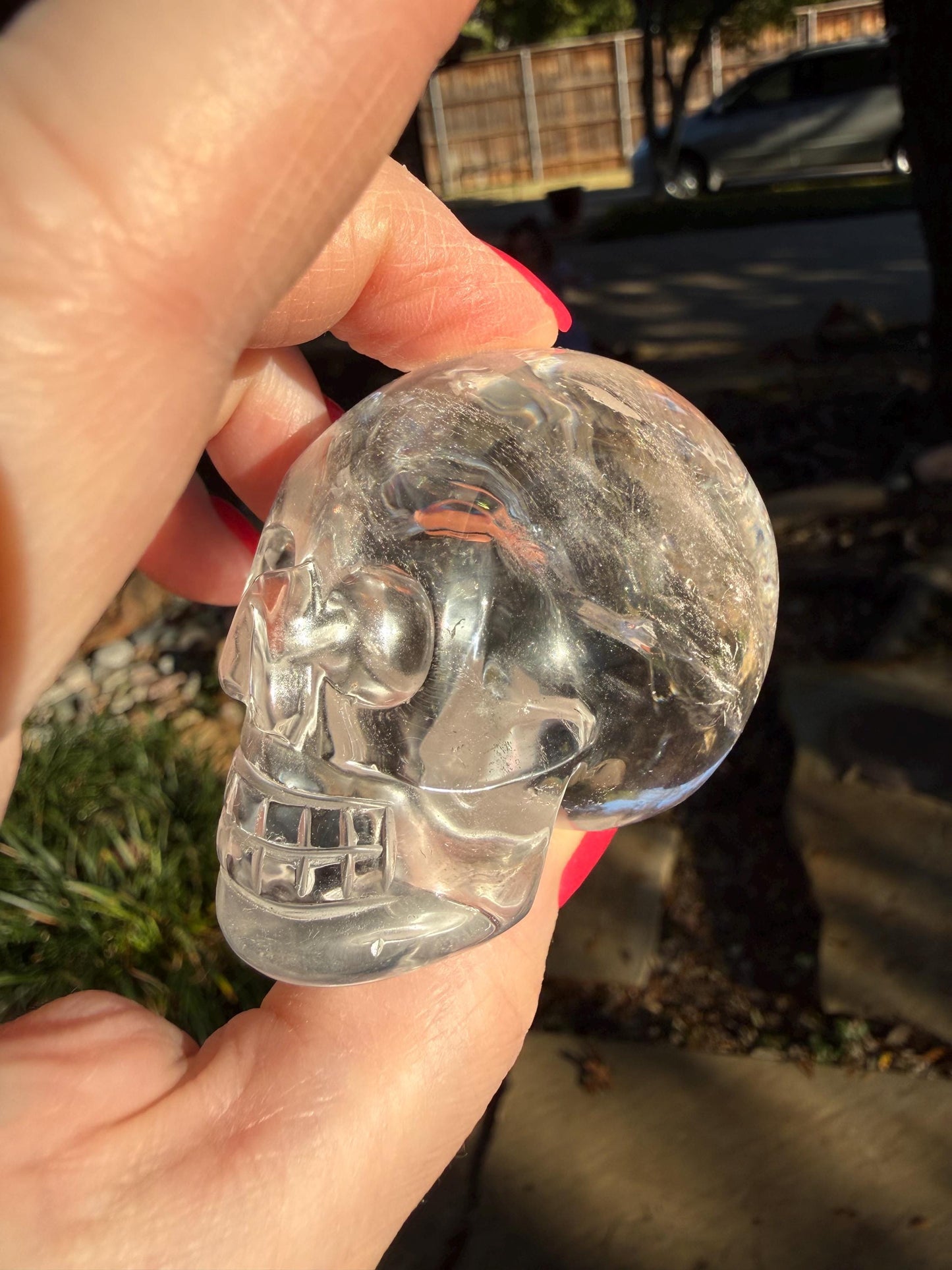 Lemurian Quartz stunning skull carving, high vibration crystals, altar, 2.25”