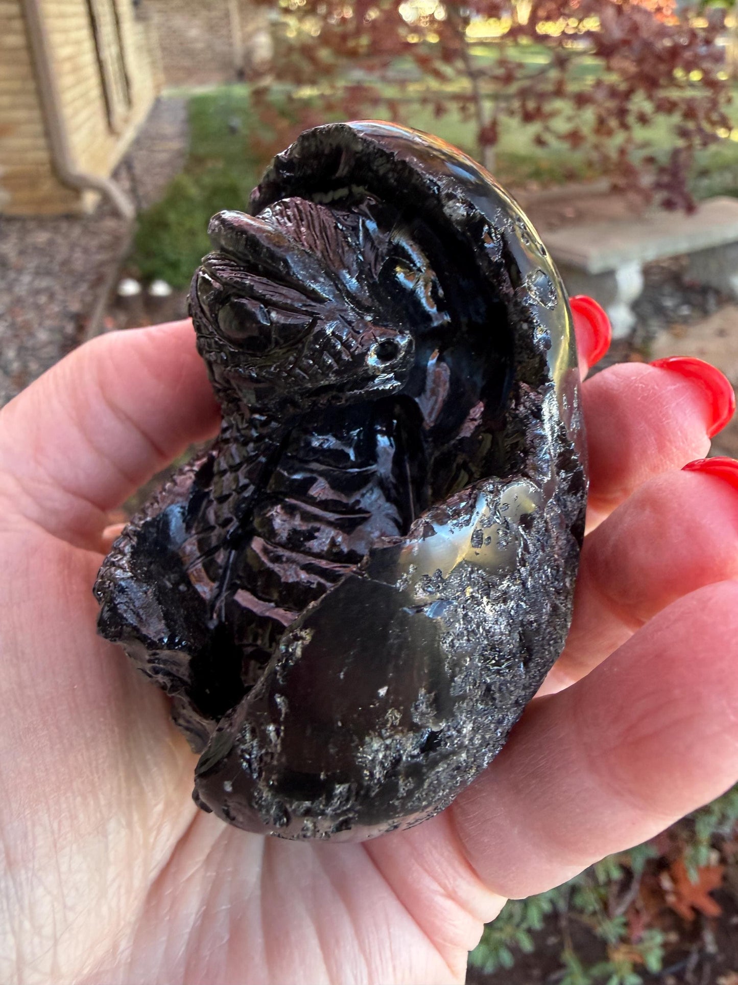 Very Rare Agni Manitite Tektite Dragon Egg 3”, beautifully carved, crystal healing, premium crystals