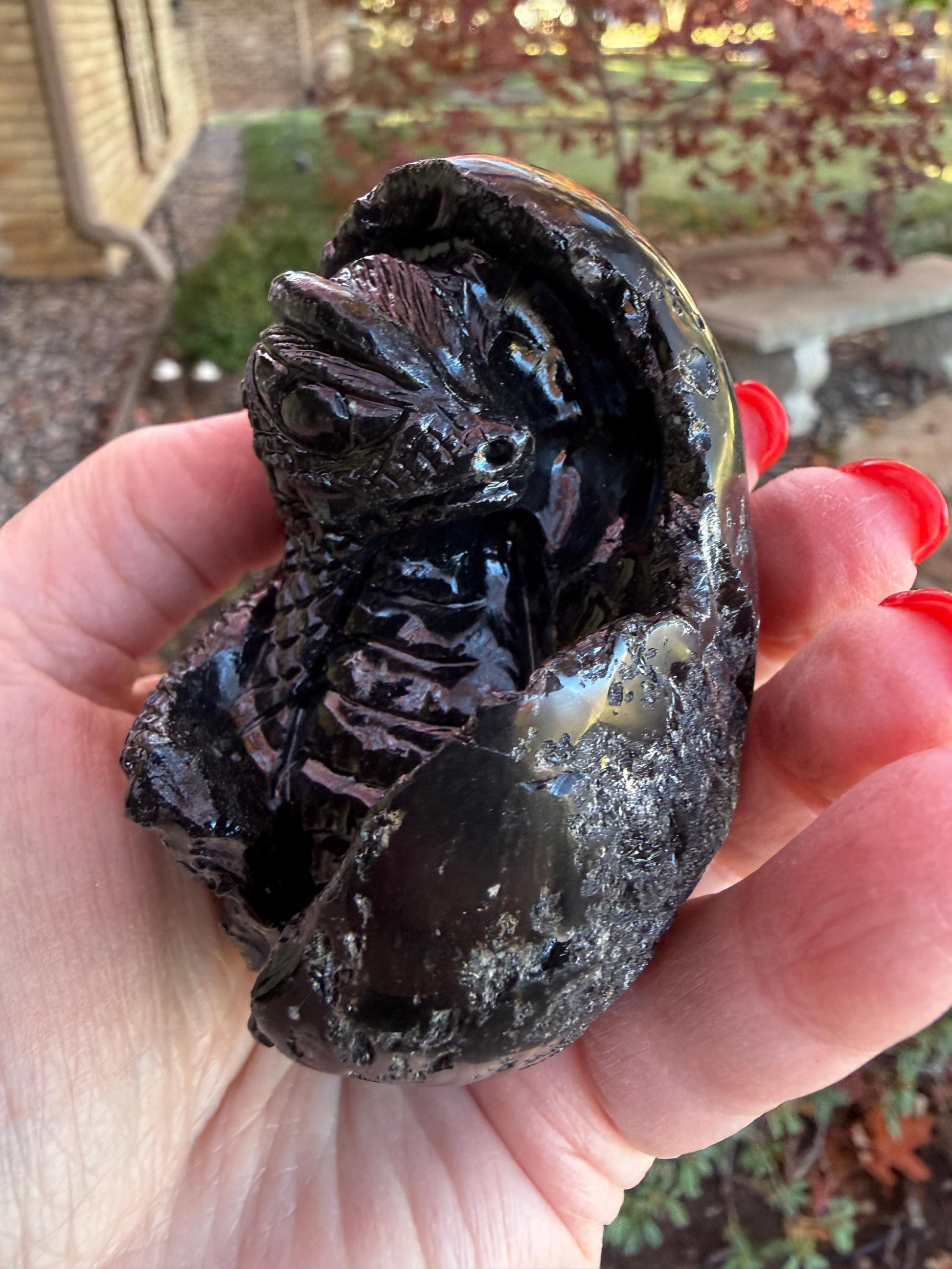 Very Rare Agni Manitite Tektite Dragon Egg 3”, beautifully carved, crystal healing, premium crystals