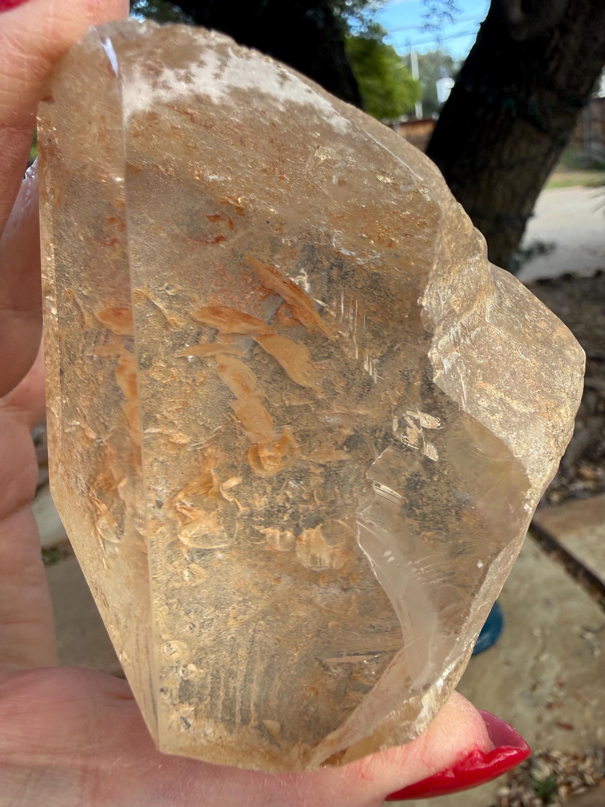 Golden Healer Dragon egg, new, altar, gifts, crystal healing, high vibration crystals, 3.75”