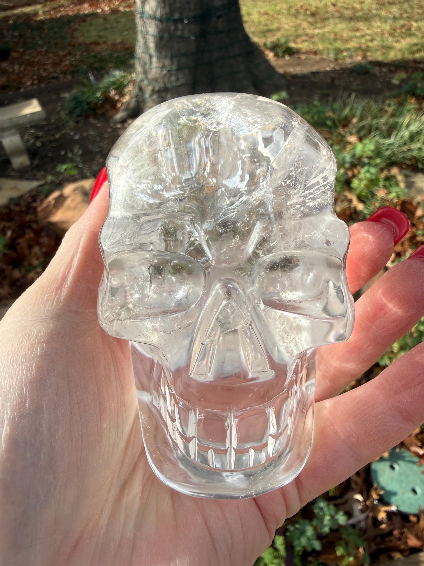 4” Lemurian Quartz stunning skull carving, high vibration crystals, altar, King Arthur