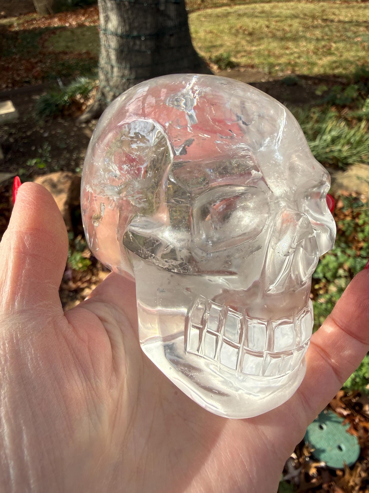 4” Lemurian Quartz stunning skull carving, high vibration crystals, altar, King Arthur