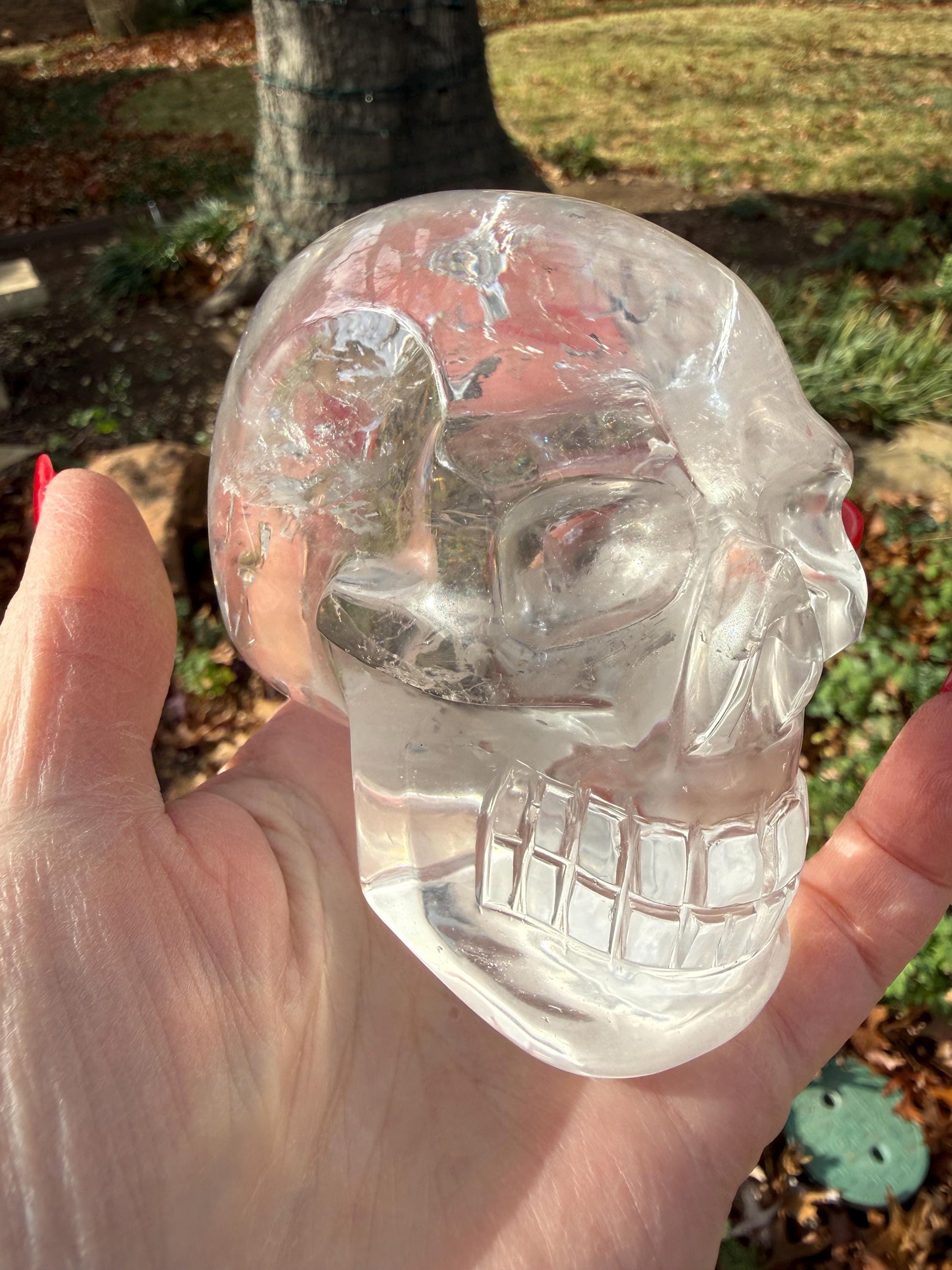 4” Lemurian Quartz stunning skull carving, high vibration crystals, altar, King Arthur