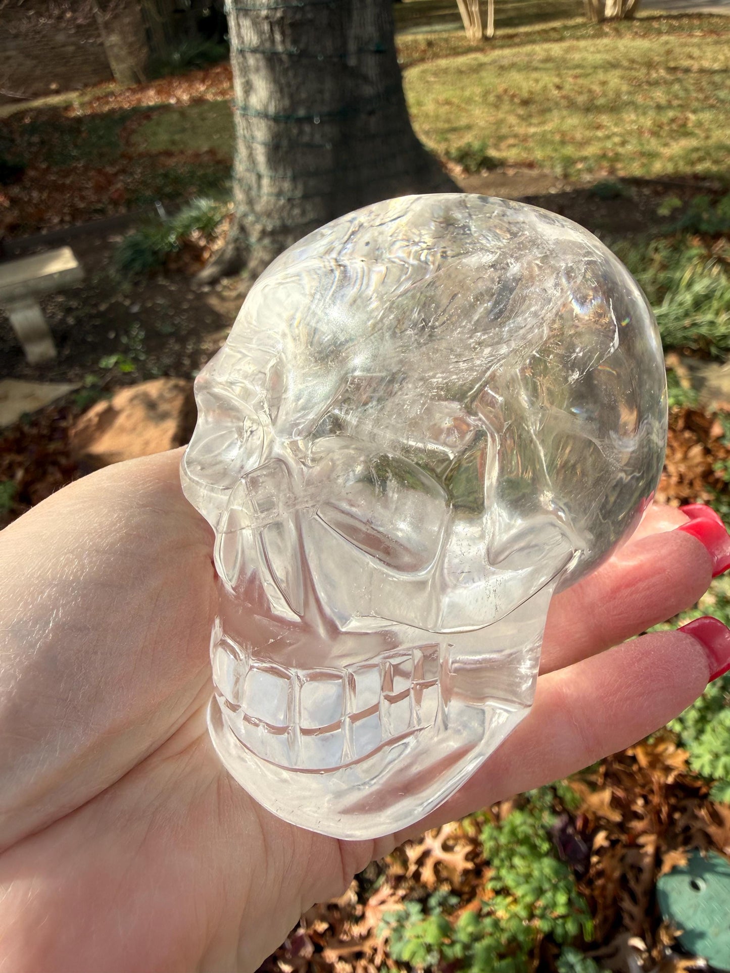 4” Lemurian Quartz stunning skull carving, high vibration crystals, altar, King Arthur